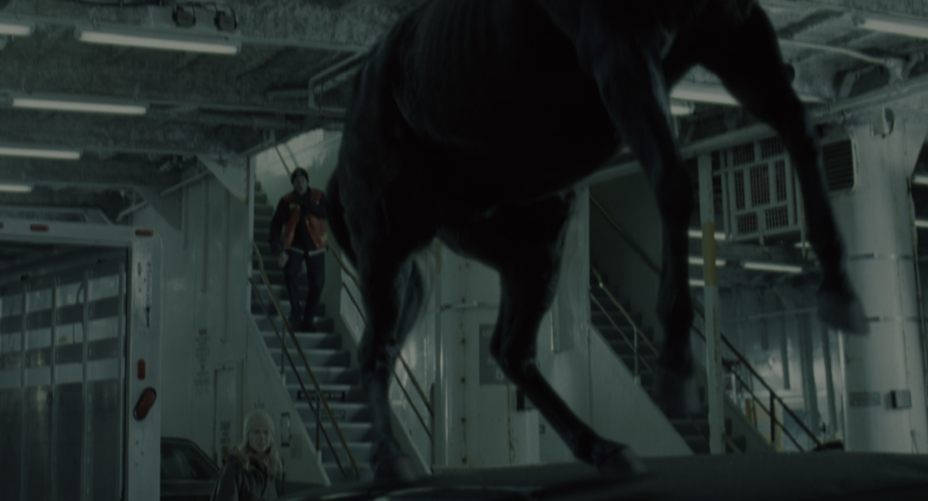 The Ring (2002), wide, 1.85:1 — film still