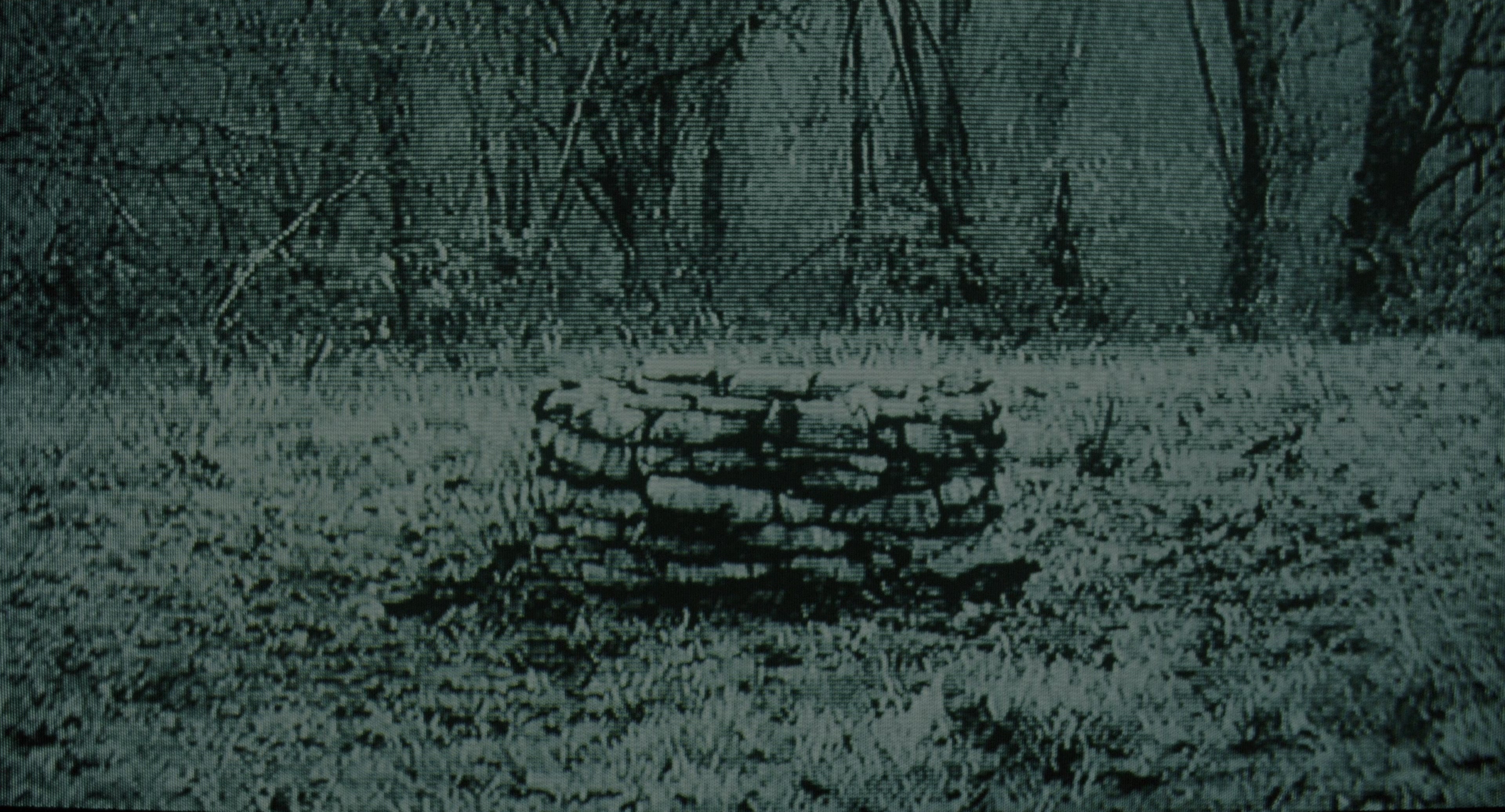 The Ring (2002), wide, 1.85:1 — film still