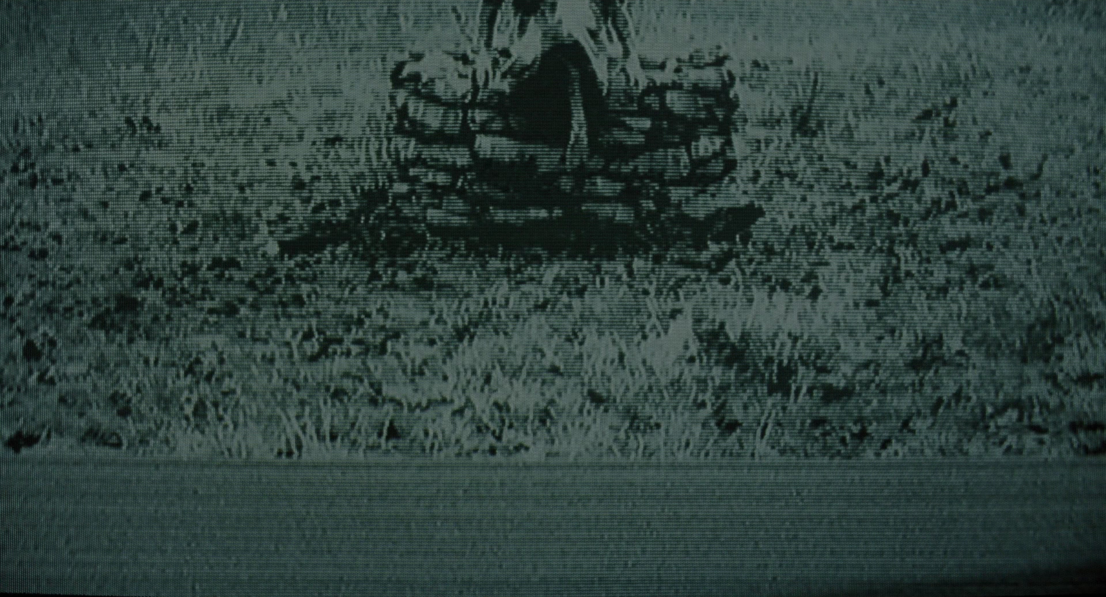 The Ring (2002), wide, 1.85:1 — film still