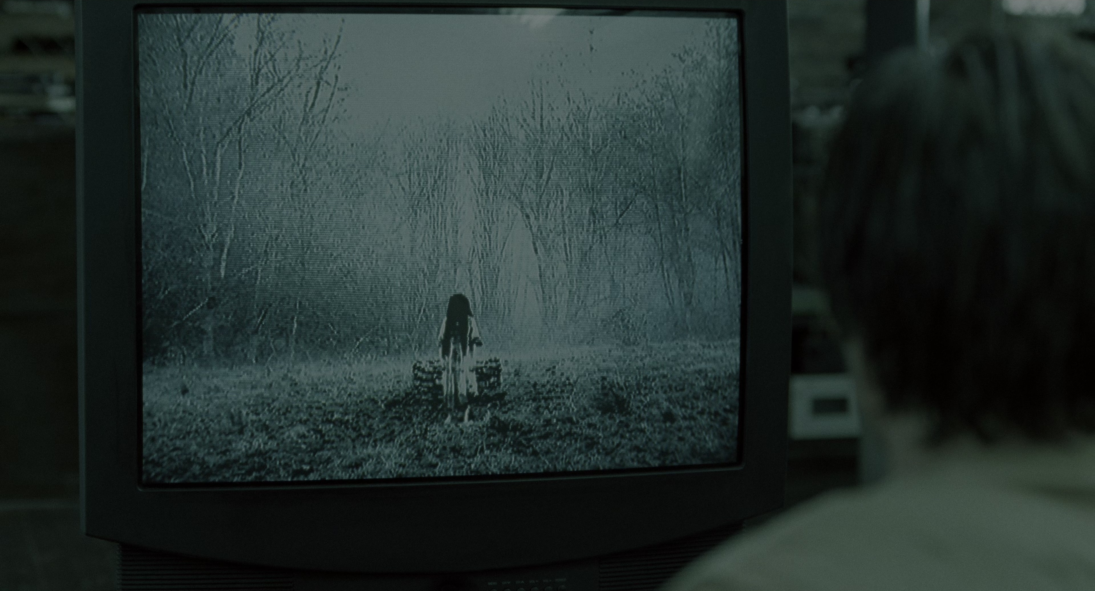 The Ring (2002), wide, 1.85:1 — film still