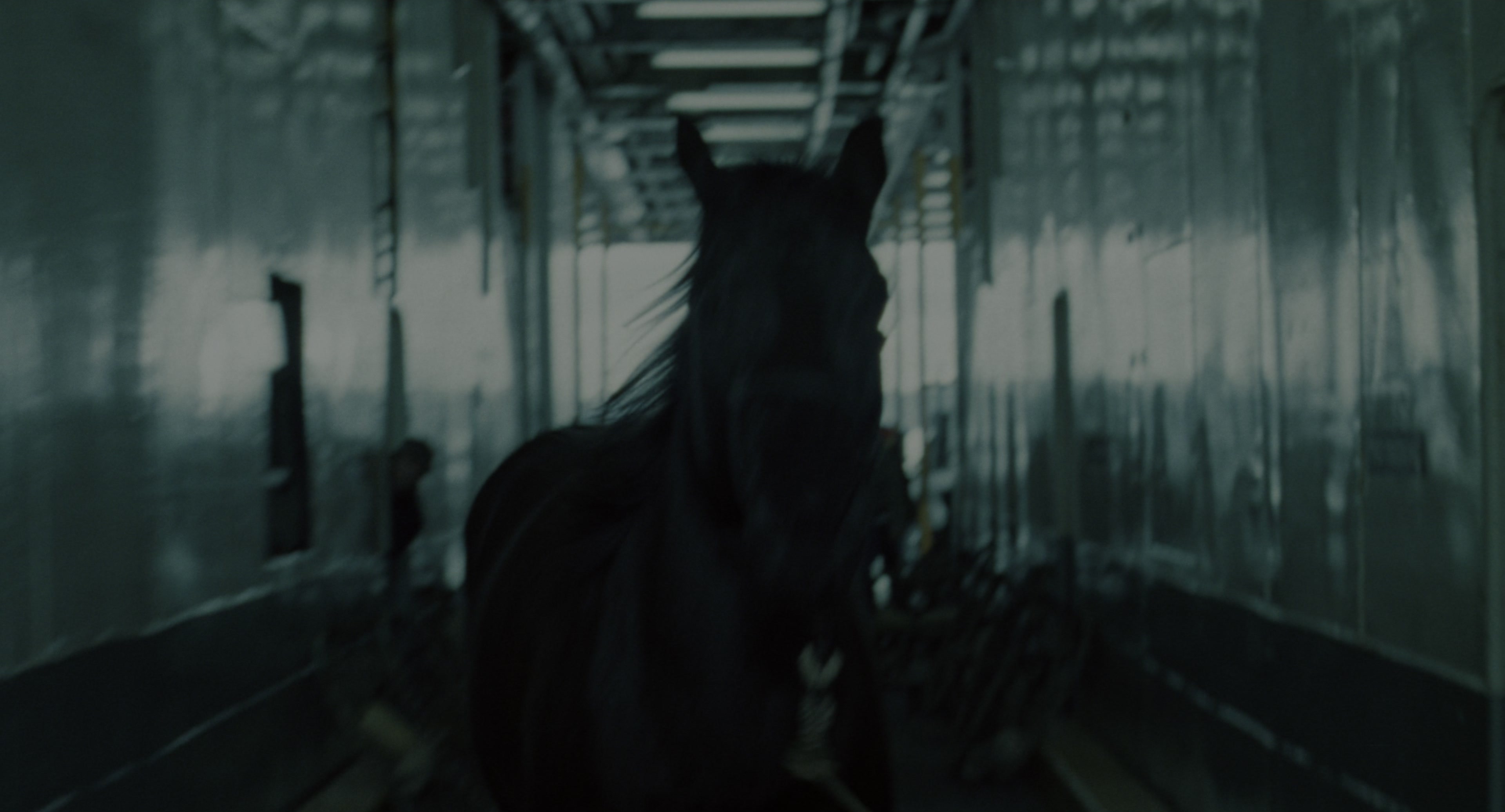 The Ring (2002), wide, 1.85:1 — film still