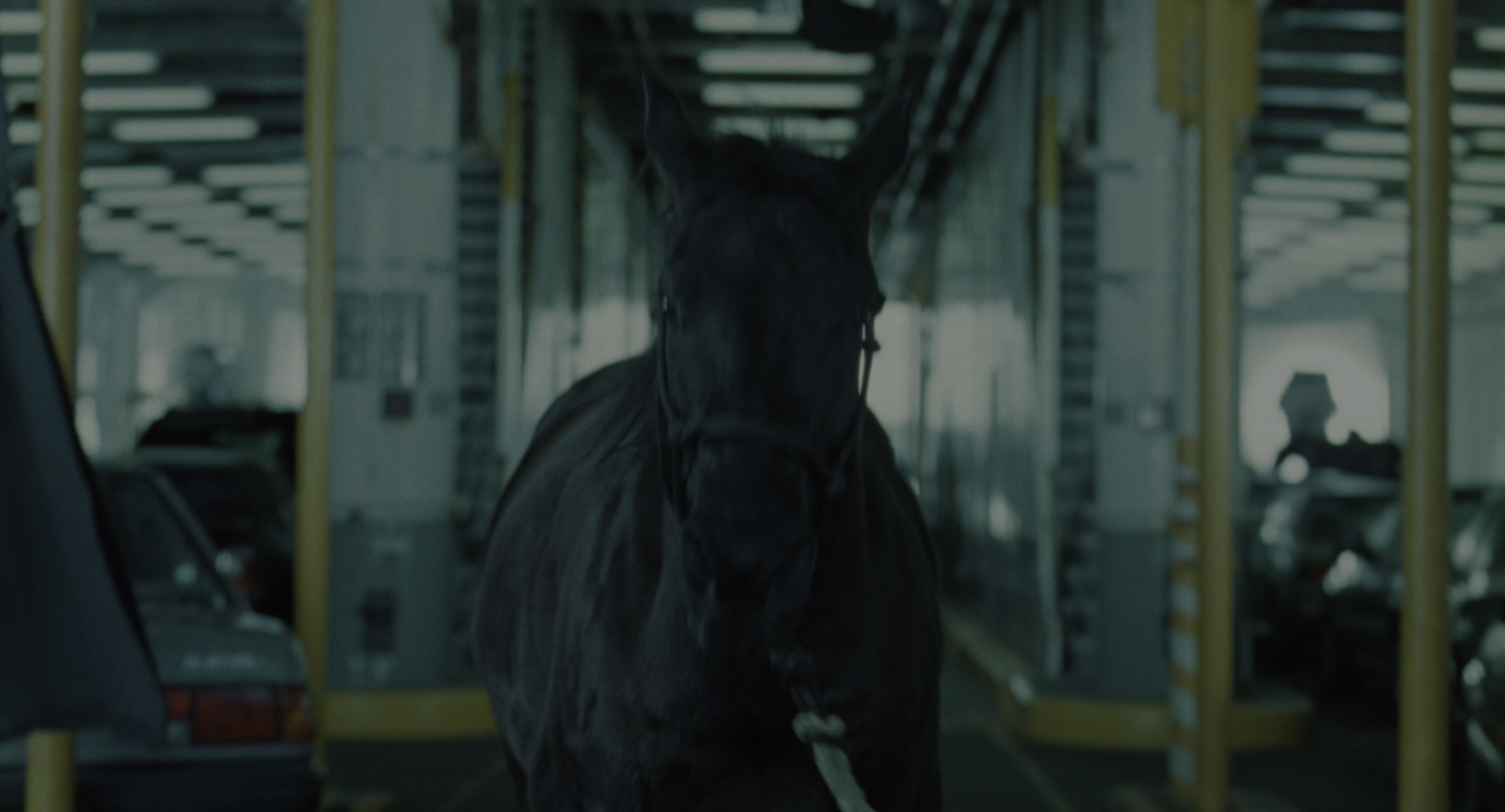 The Ring (2002), wide, 1.85:1 — film still