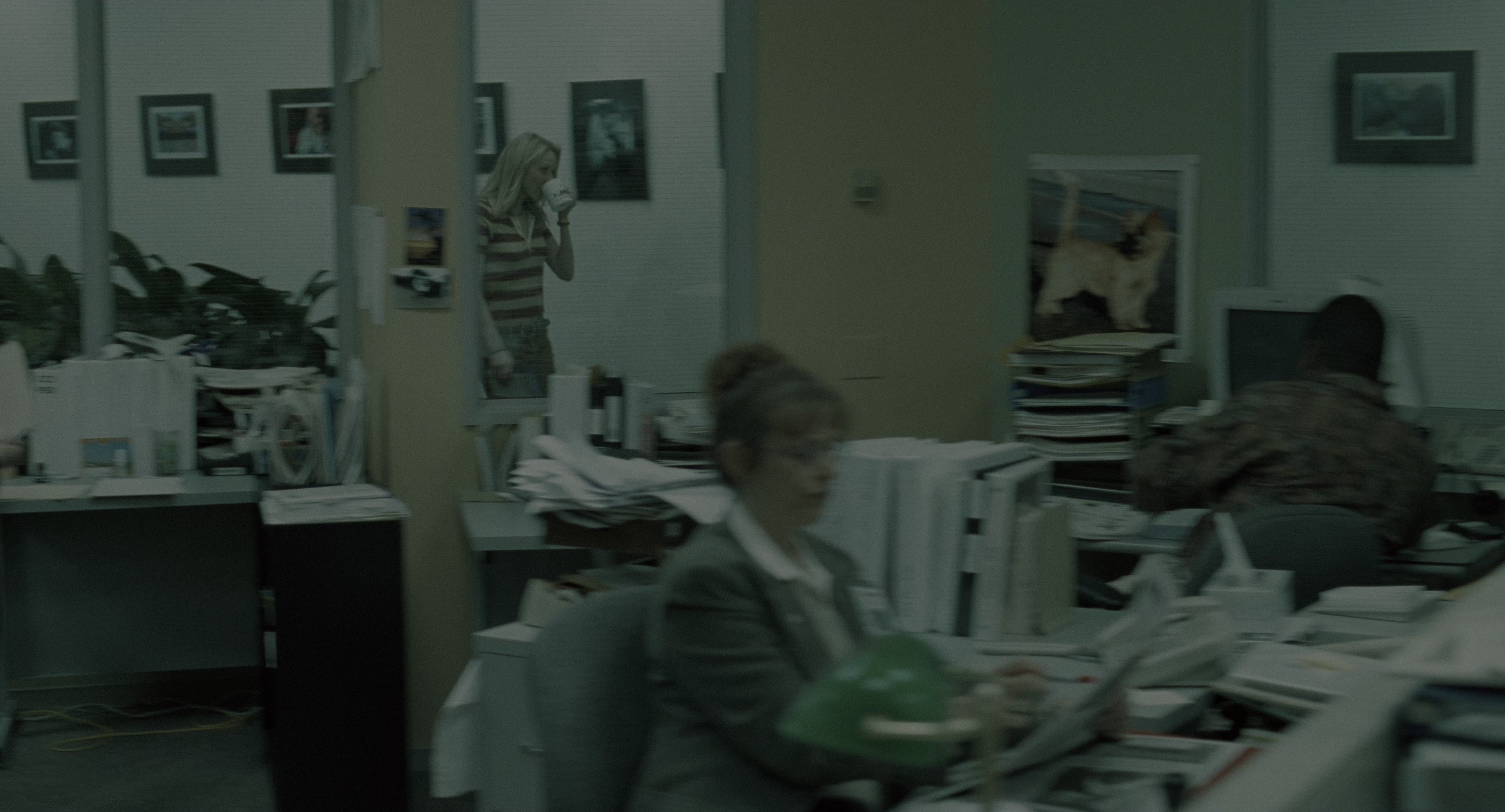 The Ring (2002), wide, 1.85:1 — film still