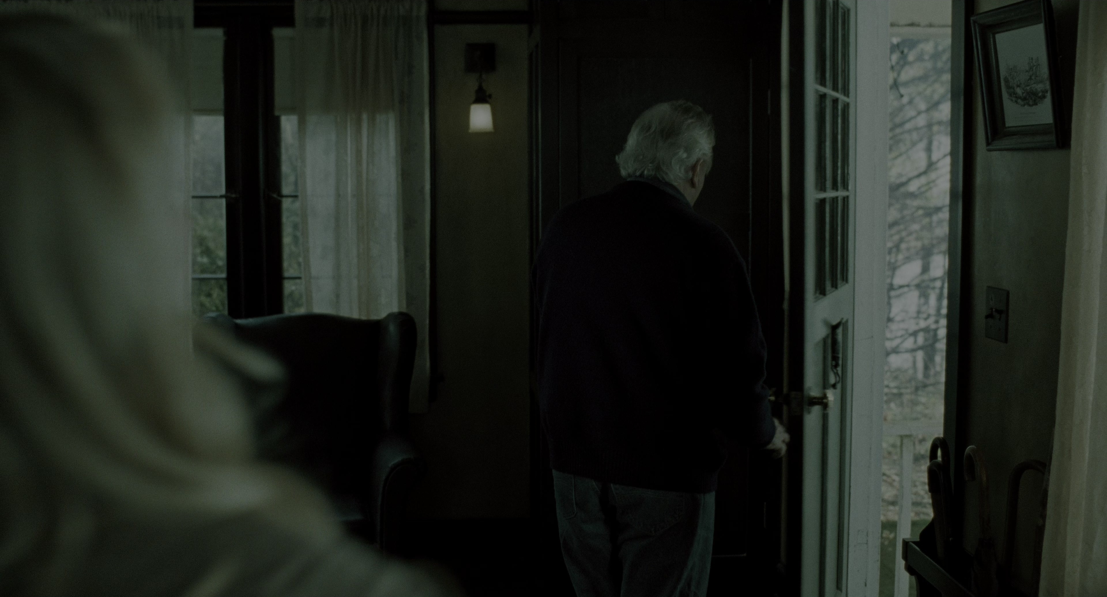 The Ring (2002), wide, 1.85:1 — film still