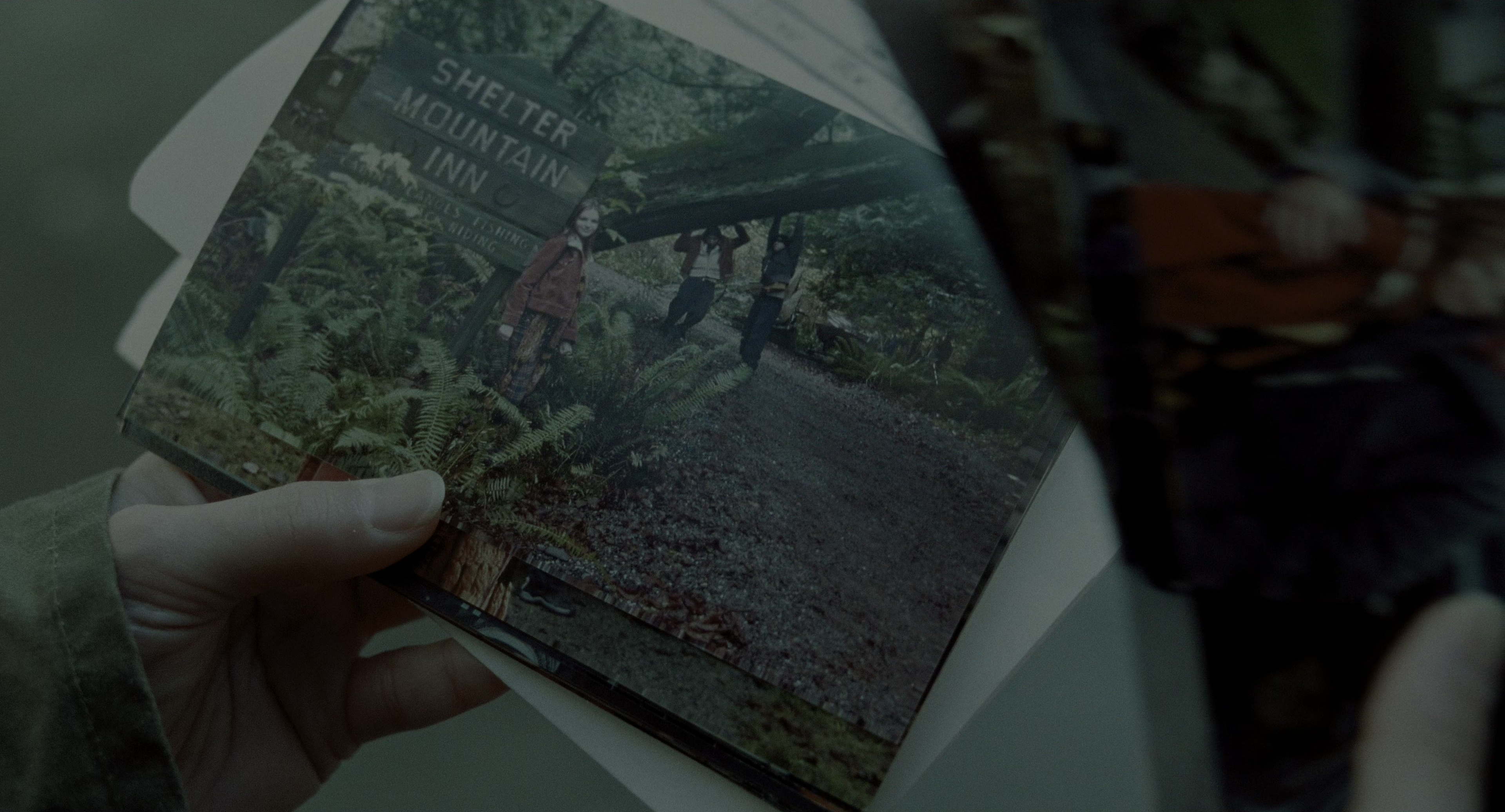 The Ring (2002), wide, 1.85:1 — film still