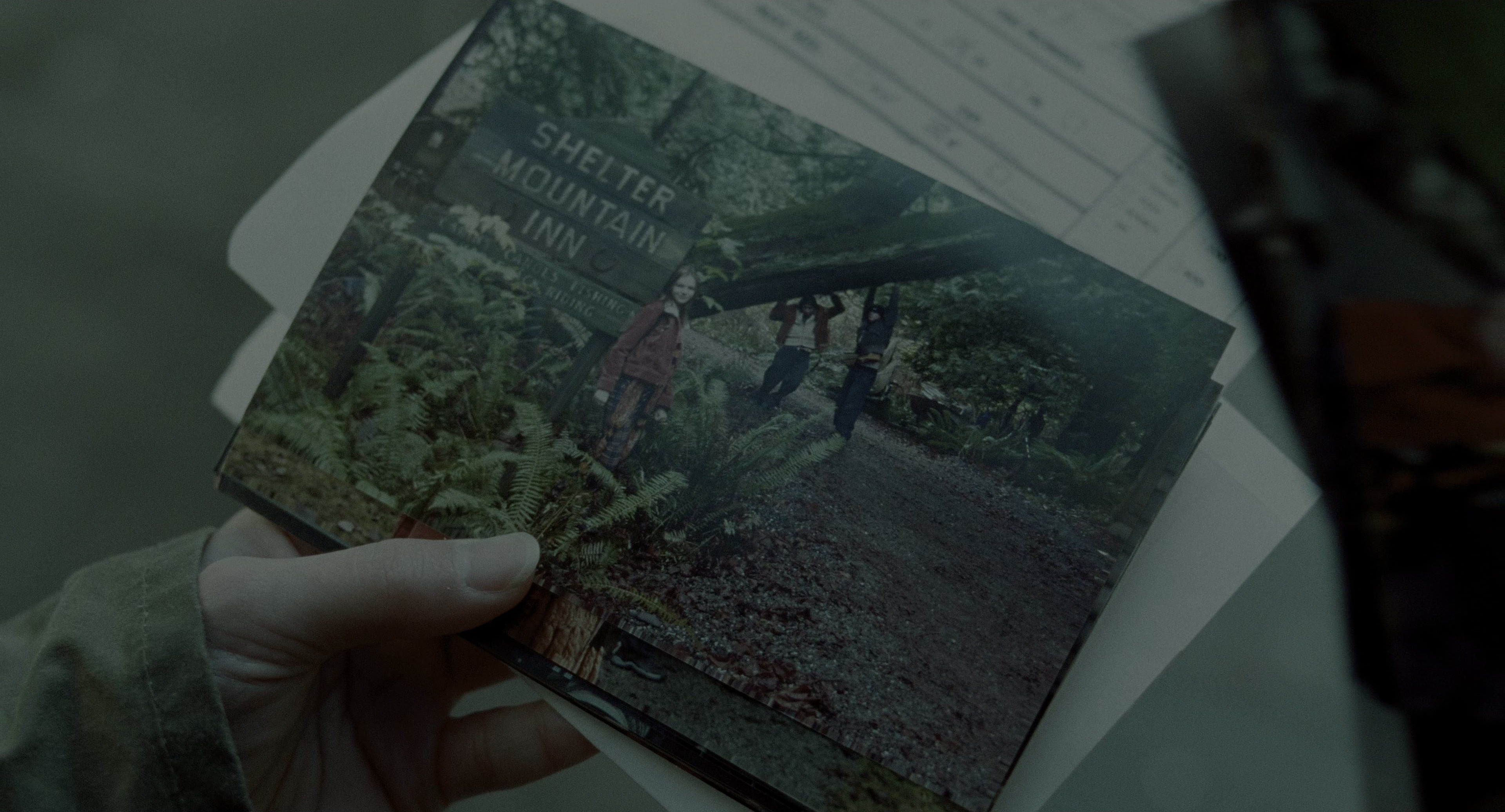 The Ring (2002), wide, 1.85:1 — film still