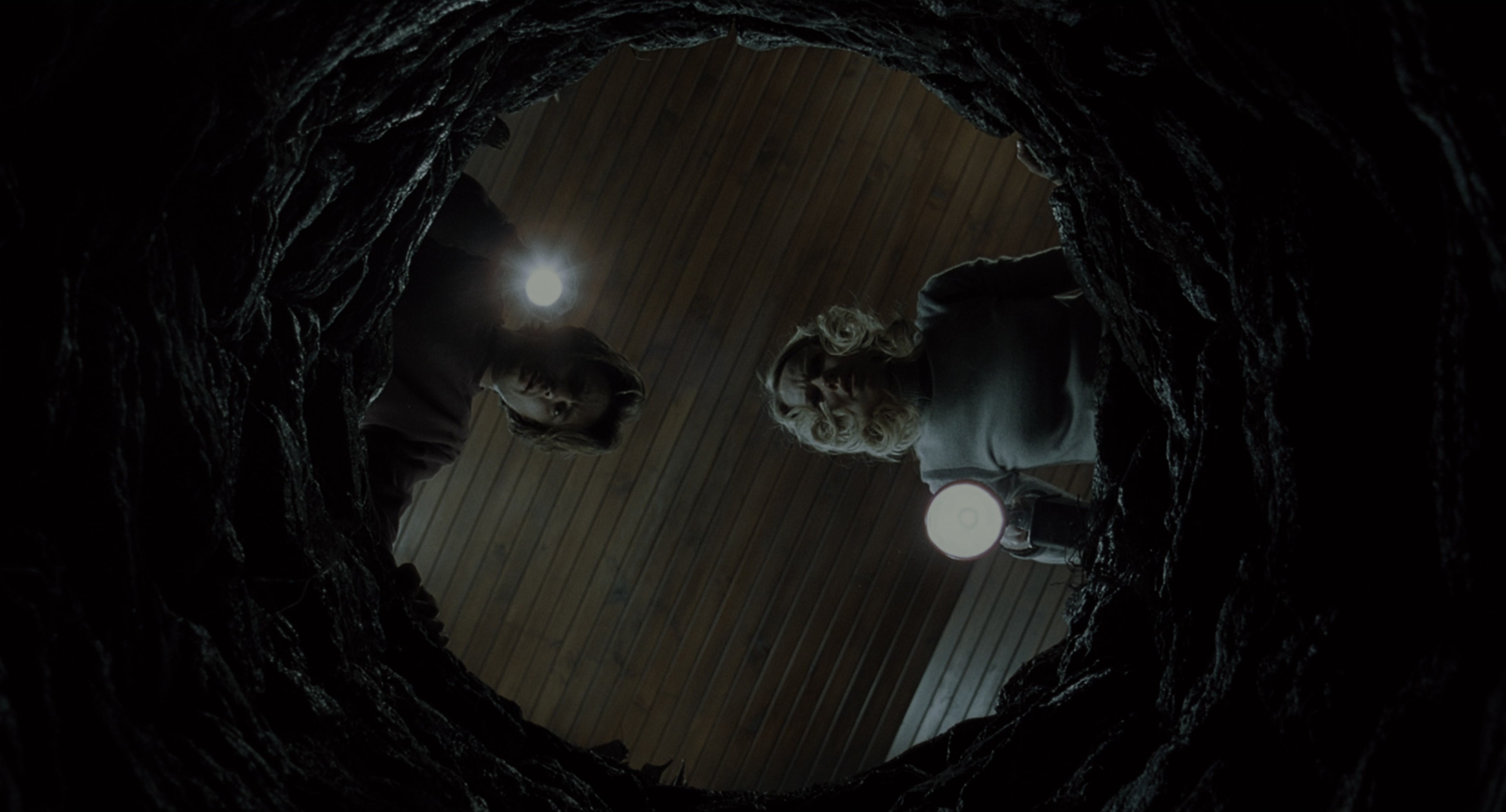 The Ring (2002), wide, 1.85:1 — film still
