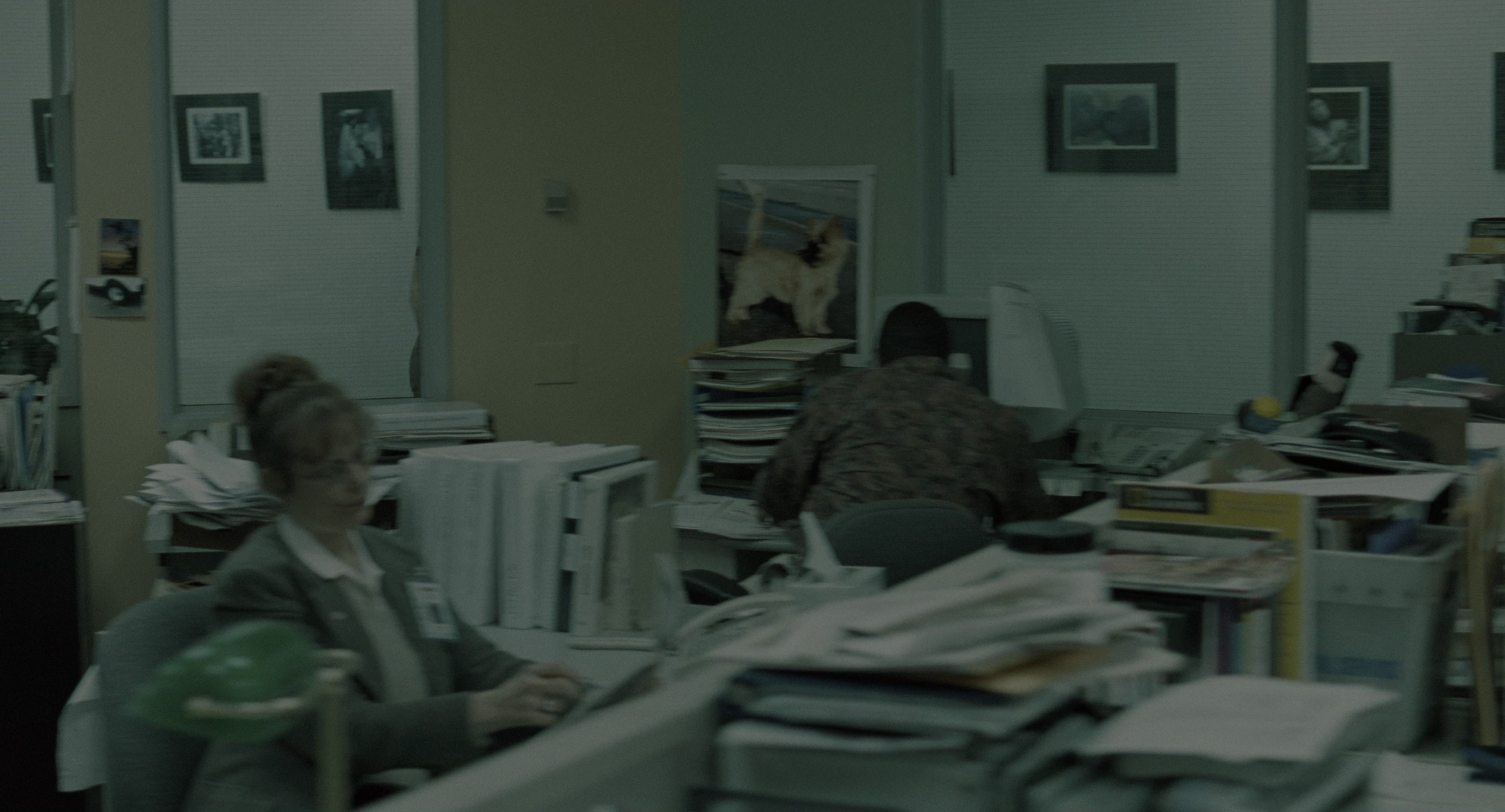 The Ring (2002), wide, 1.85:1 — film still