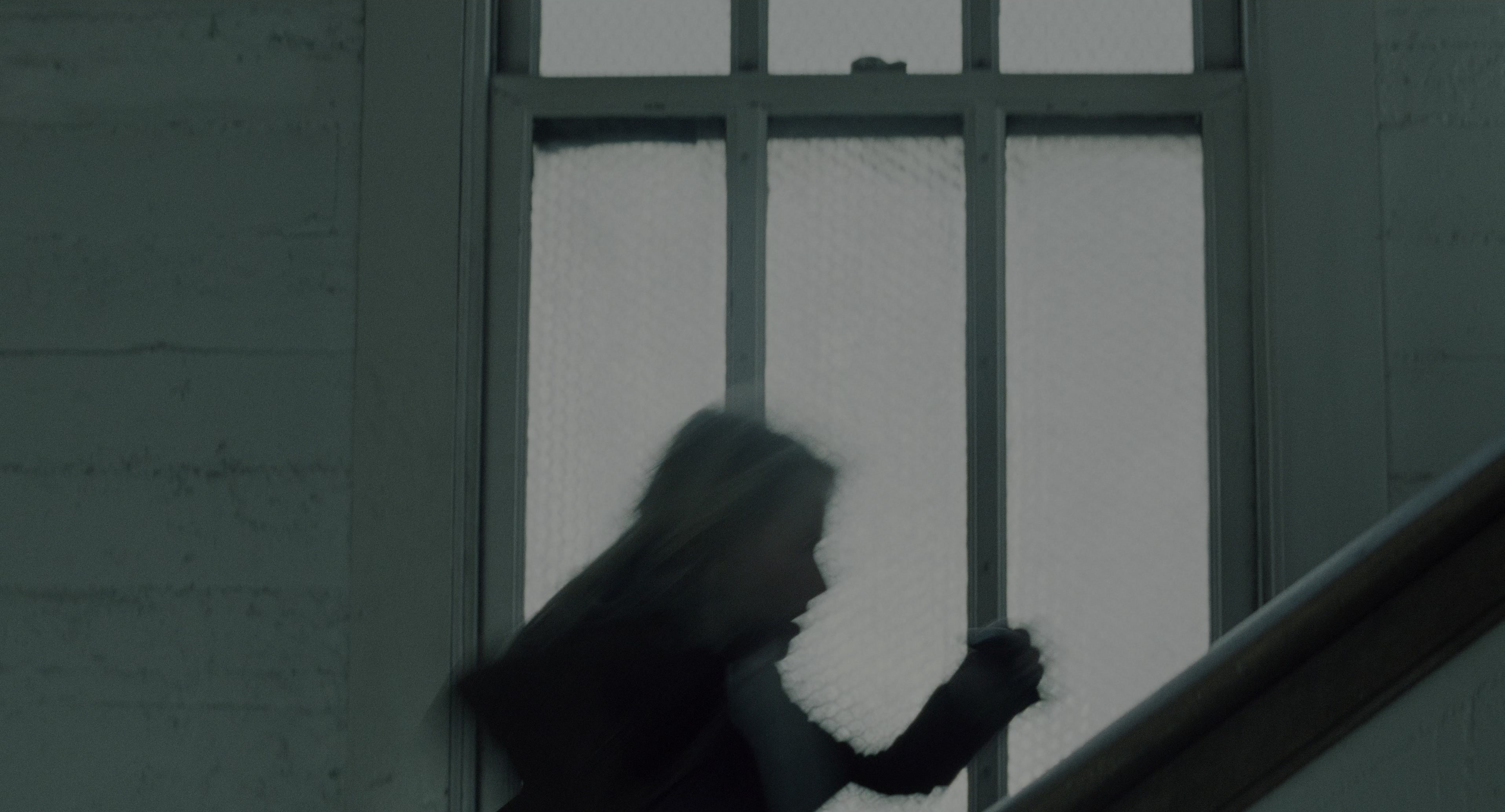 The Ring (2002), wide, 1.85:1 — film still