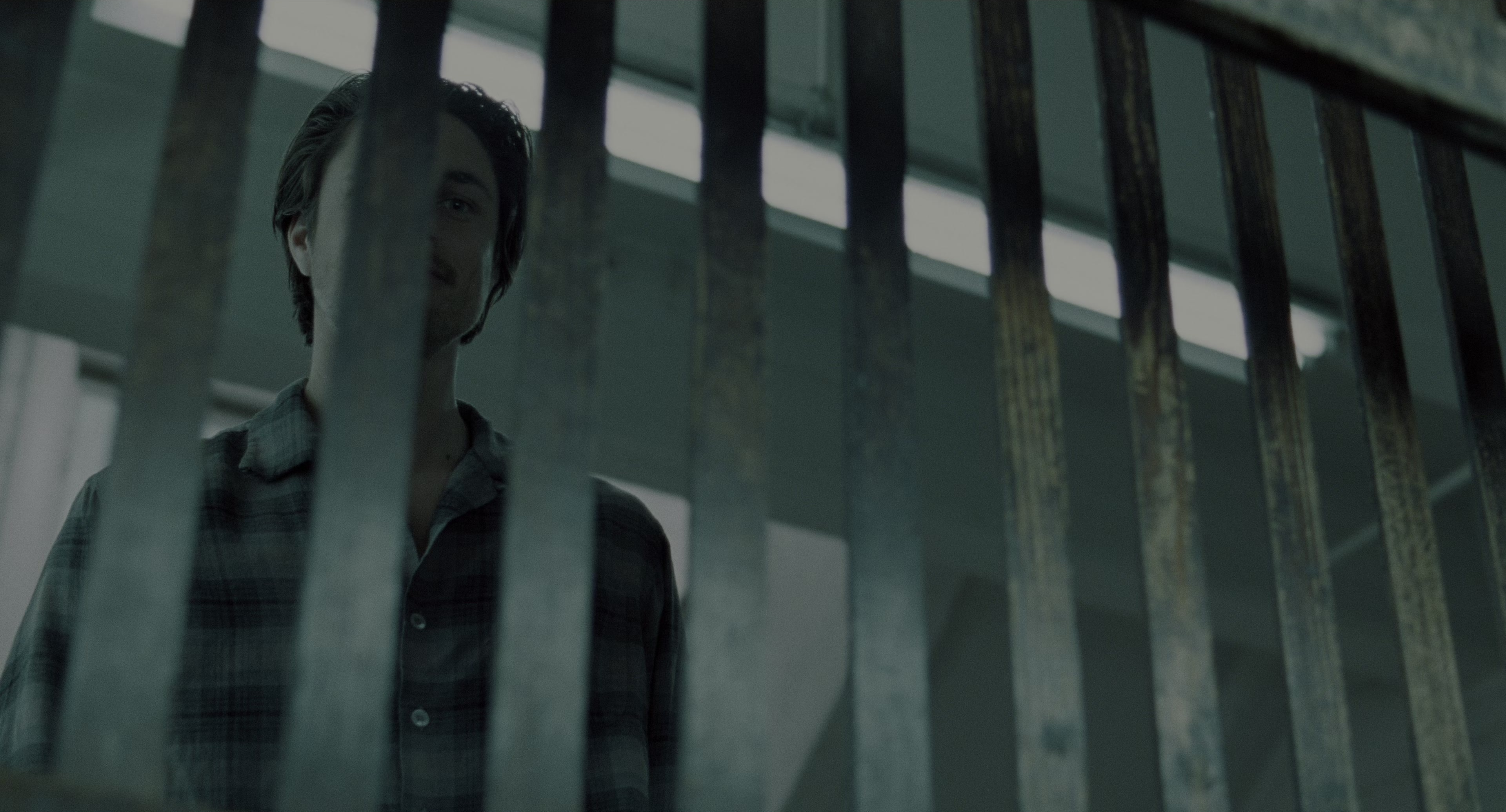 The Ring (2002), wide, 1.85:1 — film still
