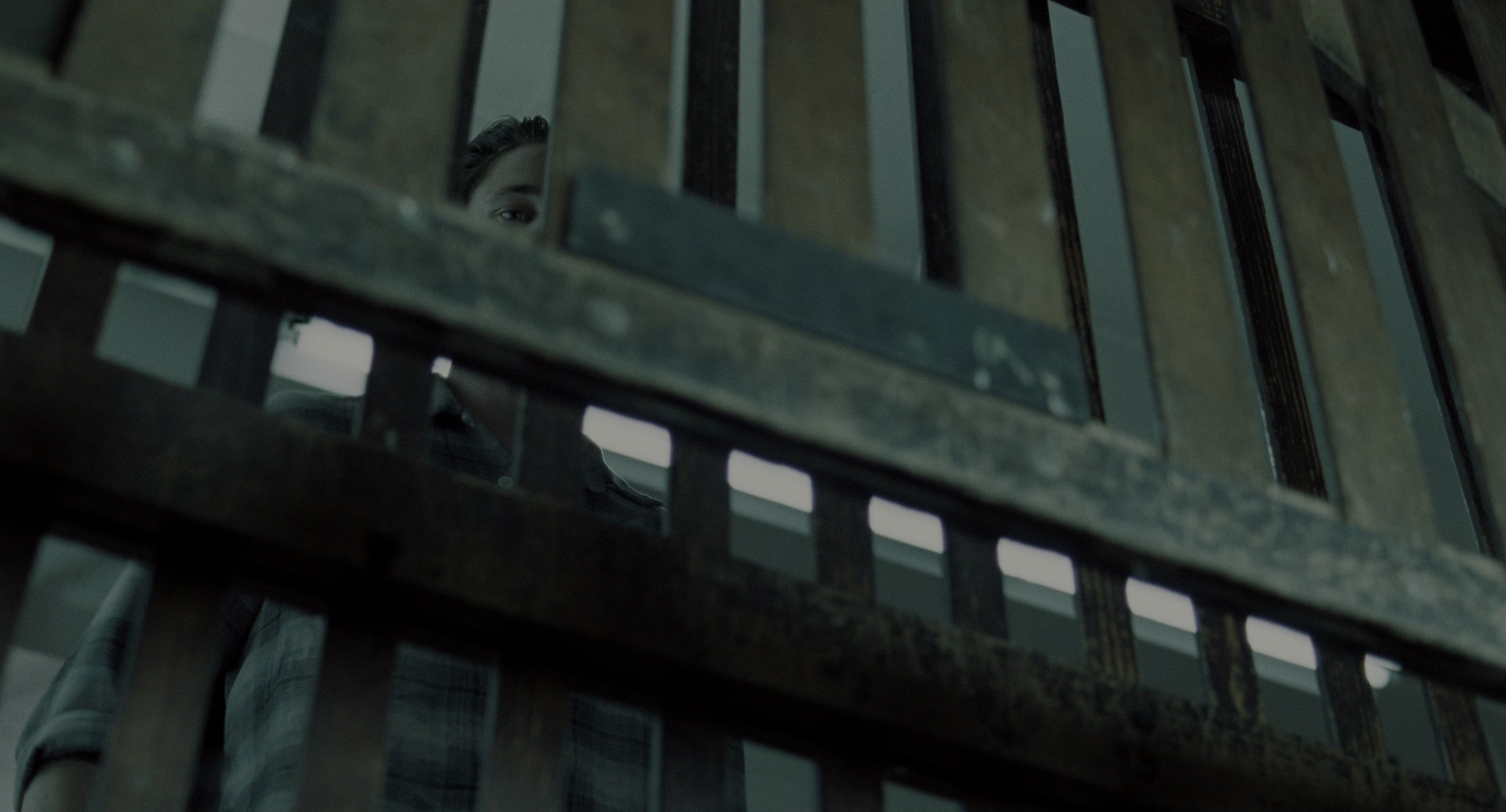 The Ring (2002), wide, 1.85:1 — film still