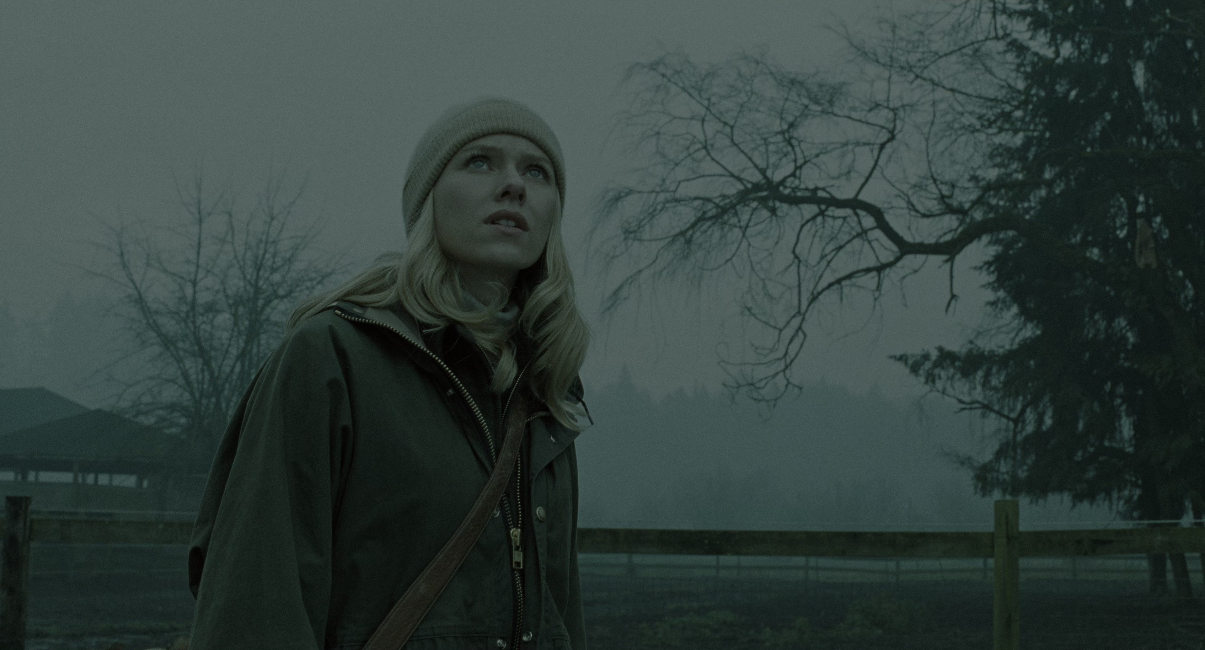 The Ring (2002), wide, 1.85:1 — film still