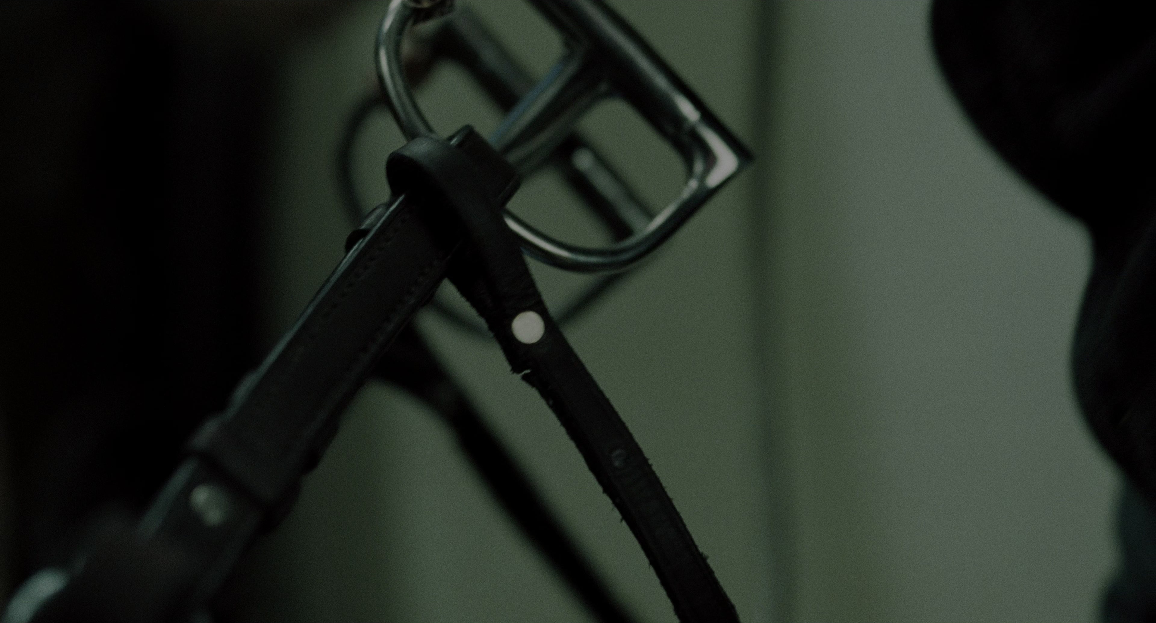 The Ring (2002), wide, 1.85:1 — film still