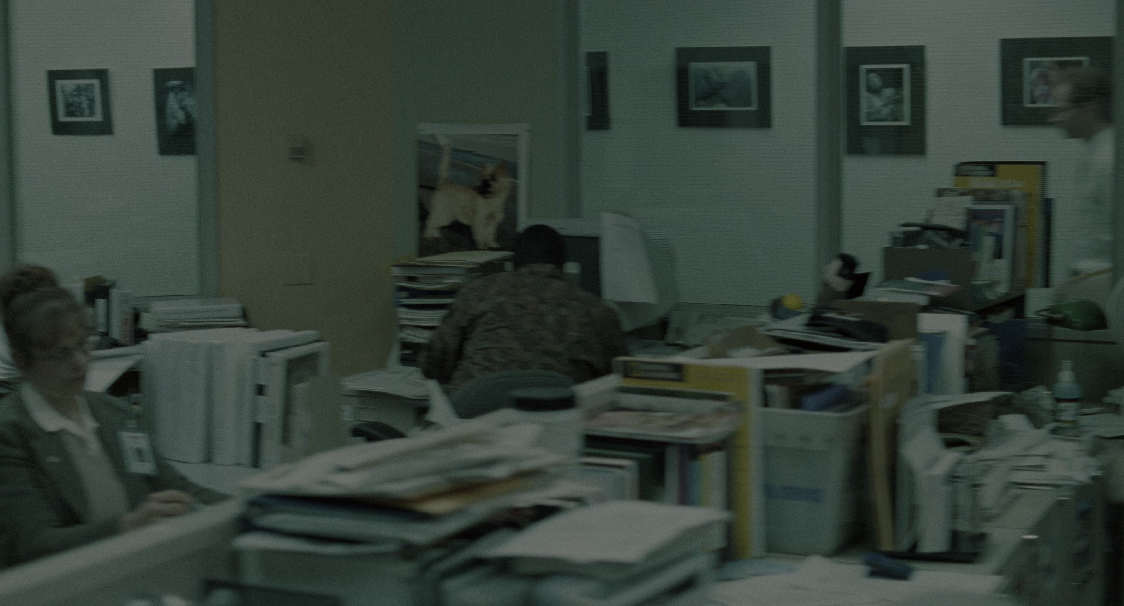 The Ring (2002), wide, 1.85:1 — film still