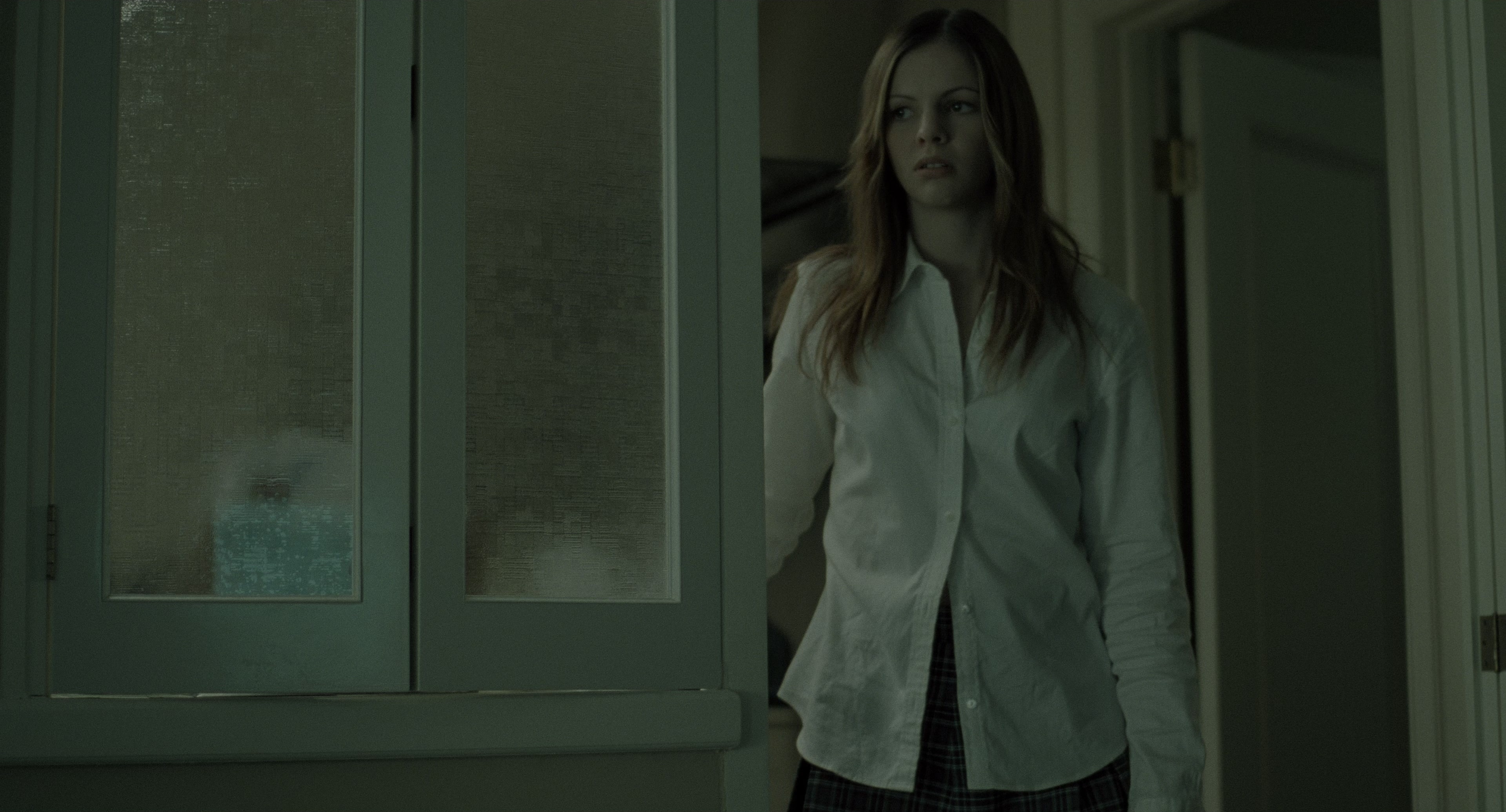 The Ring (2002), wide, 1.85:1 — film still