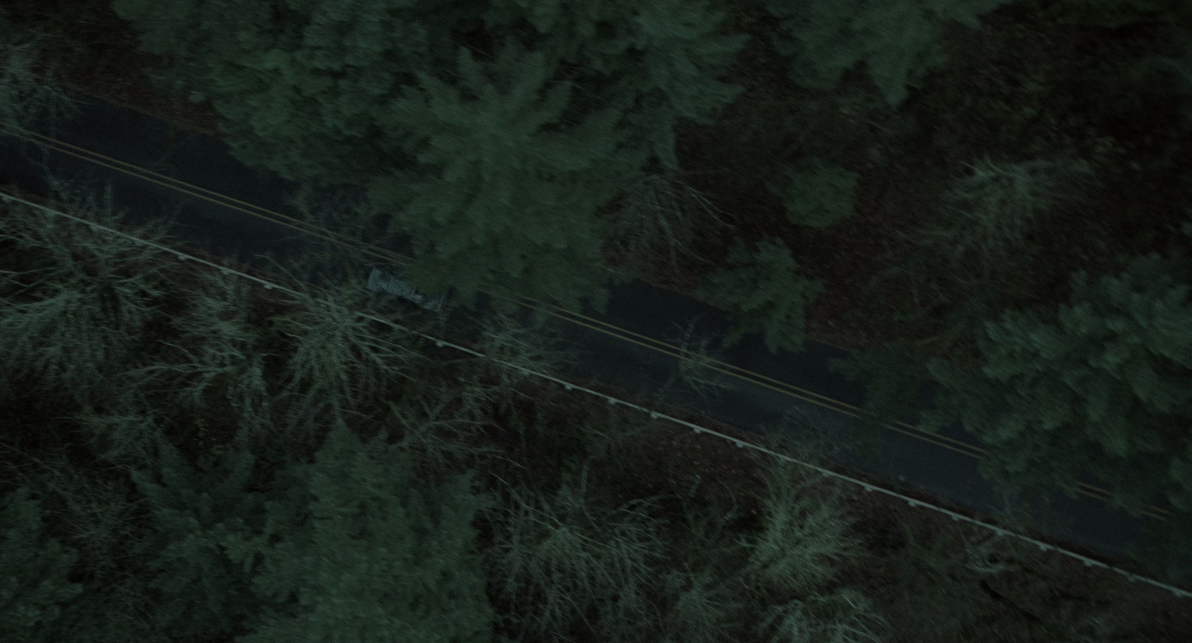 The Ring (2002), wide, 1.85:1 — film still