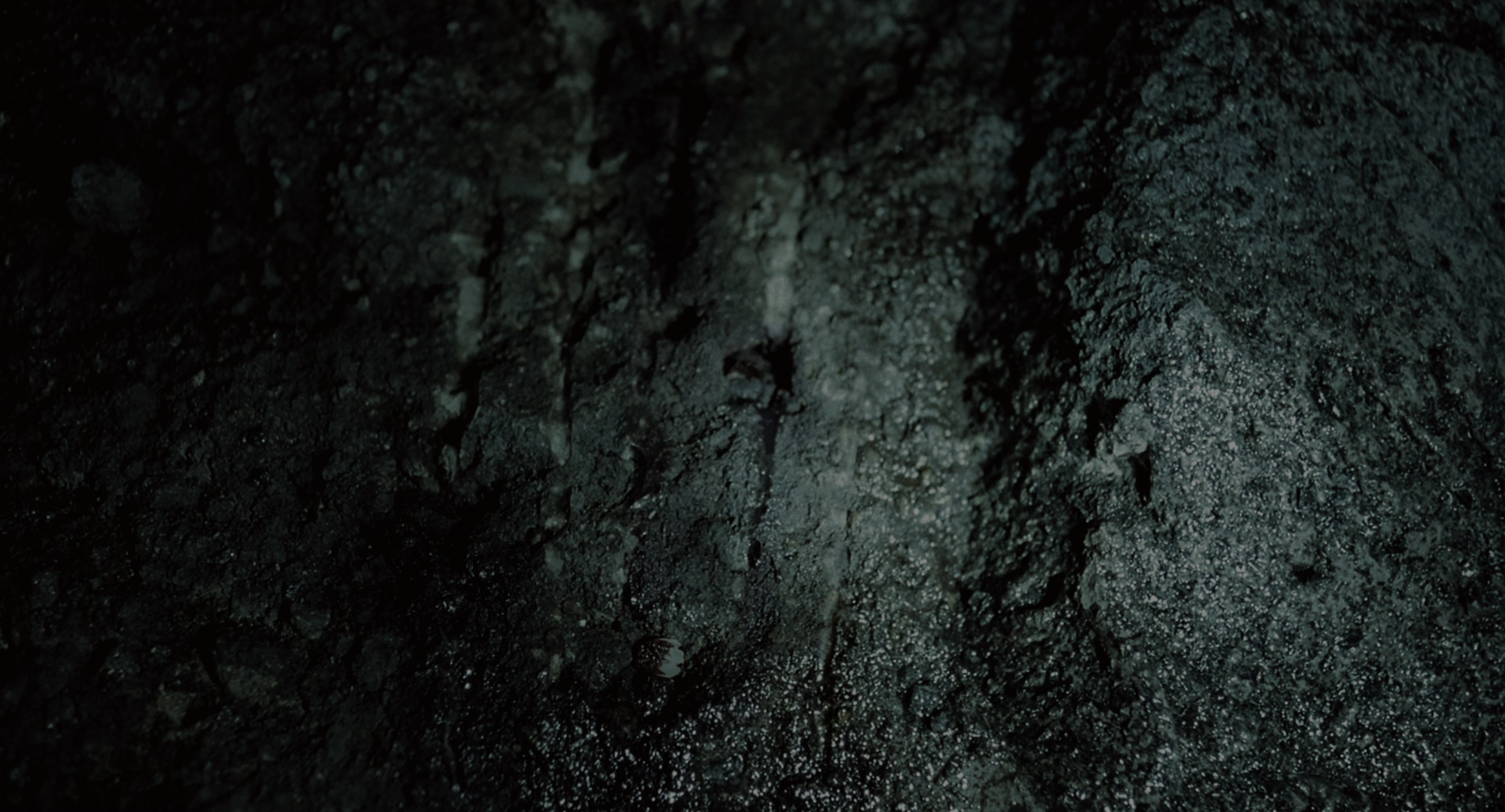 The Ring (2002), wide, 1.85:1 — film still