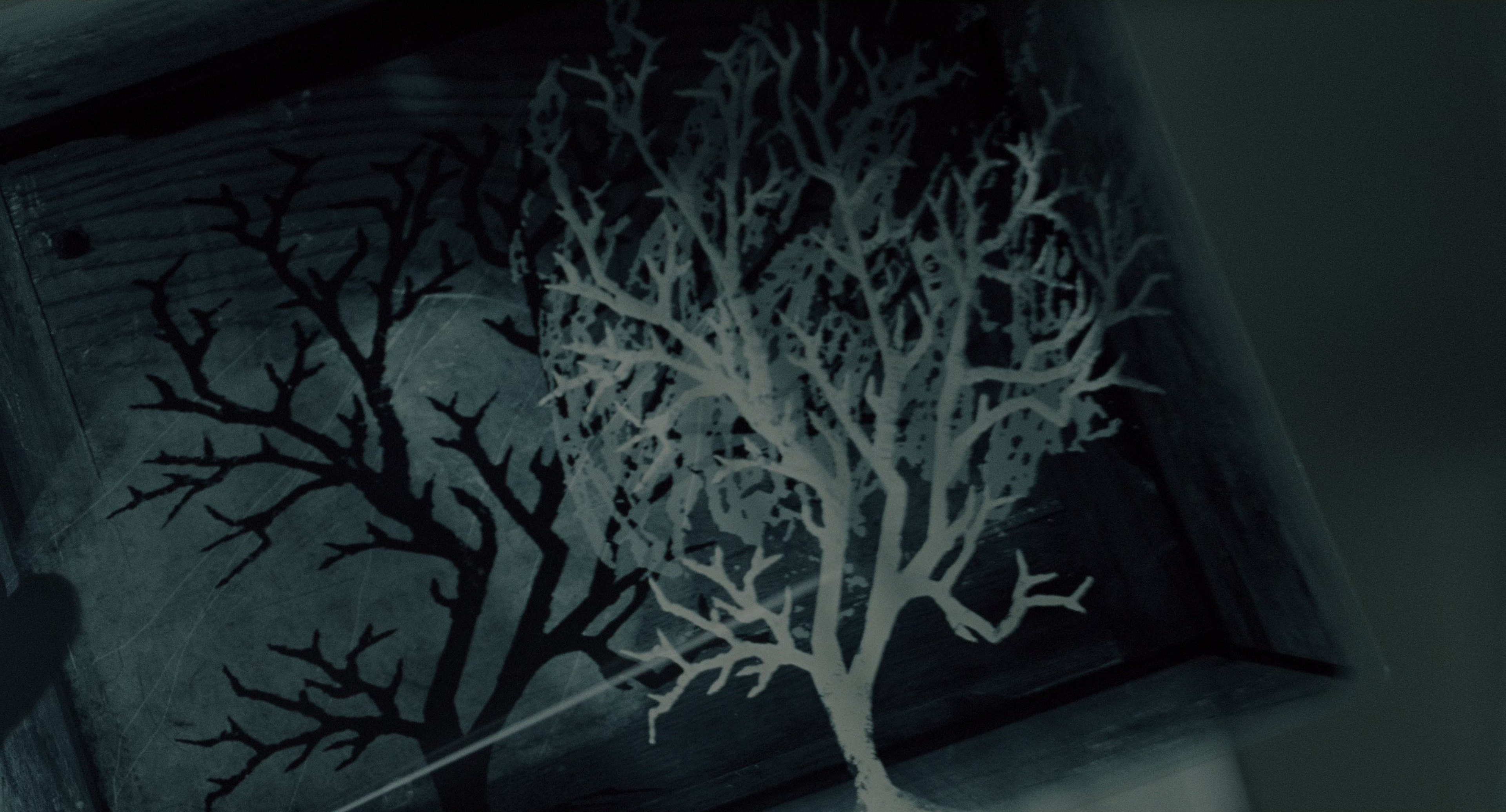 The Ring (2002), wide, 1.85:1 — film still