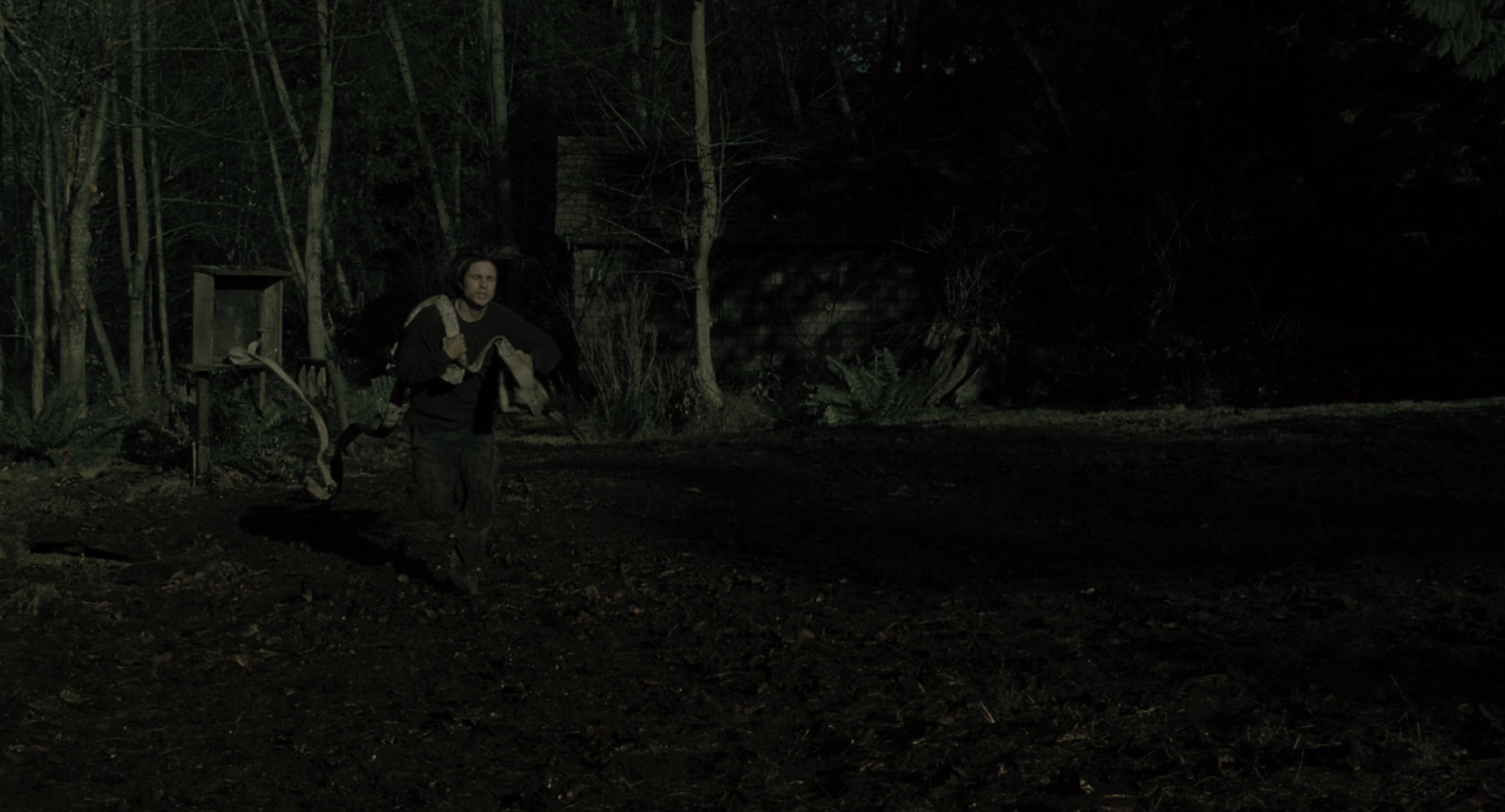 The Ring (2002), wide, 1.85:1 — film still