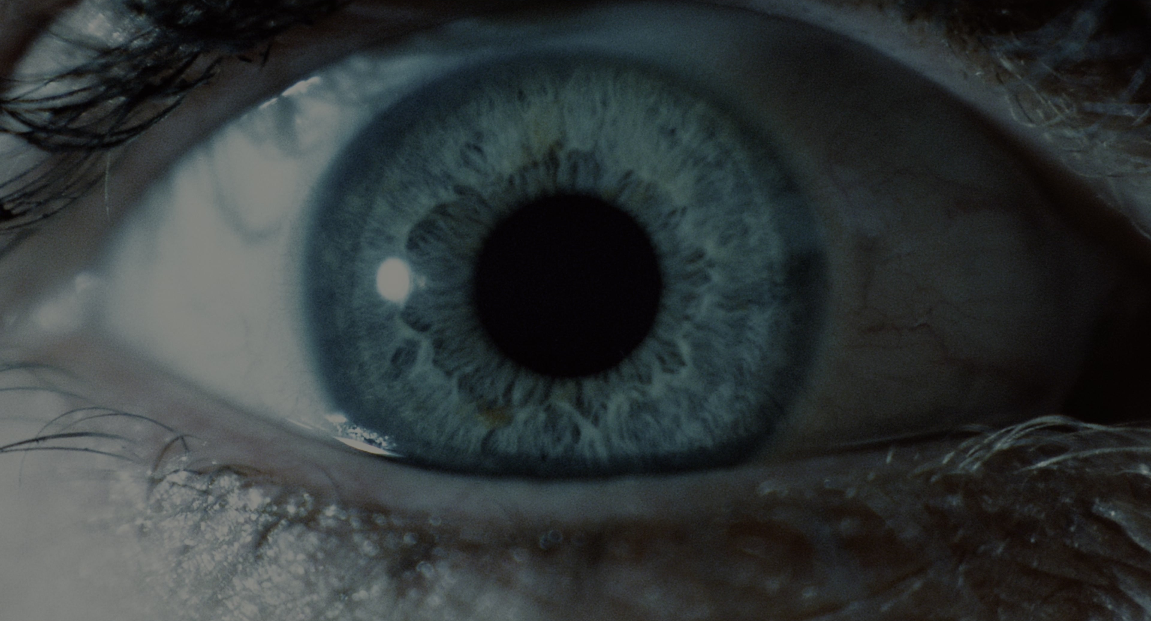 The Ring (2002), wide, 1.85:1 — film still