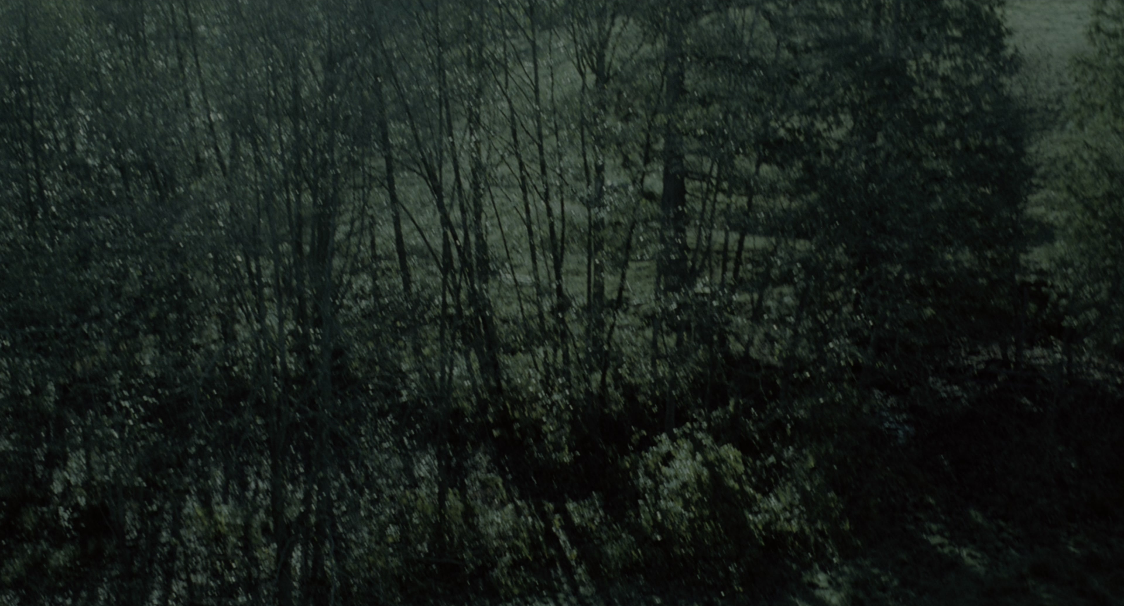 The Ring (2002), wide, 1.85:1 — film still