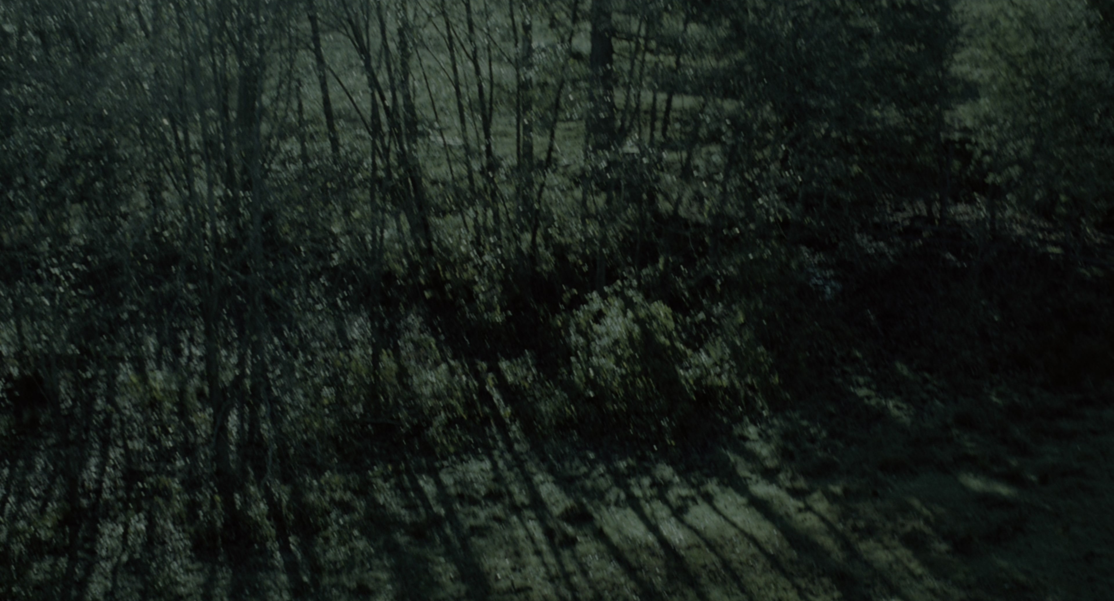 The Ring (2002), wide, 1.85:1 — film still