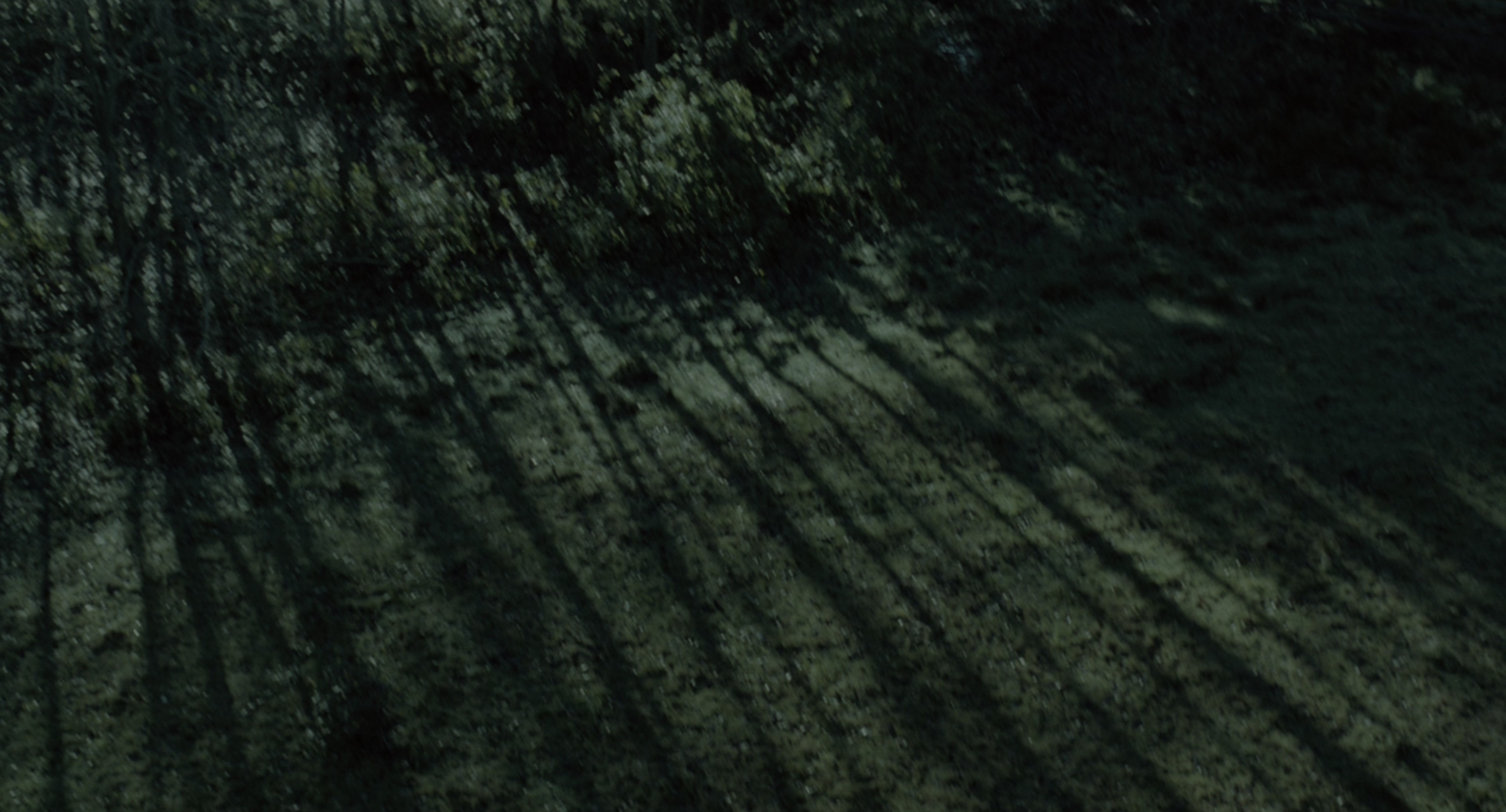 The Ring (2002), wide, 1.85:1 — film still