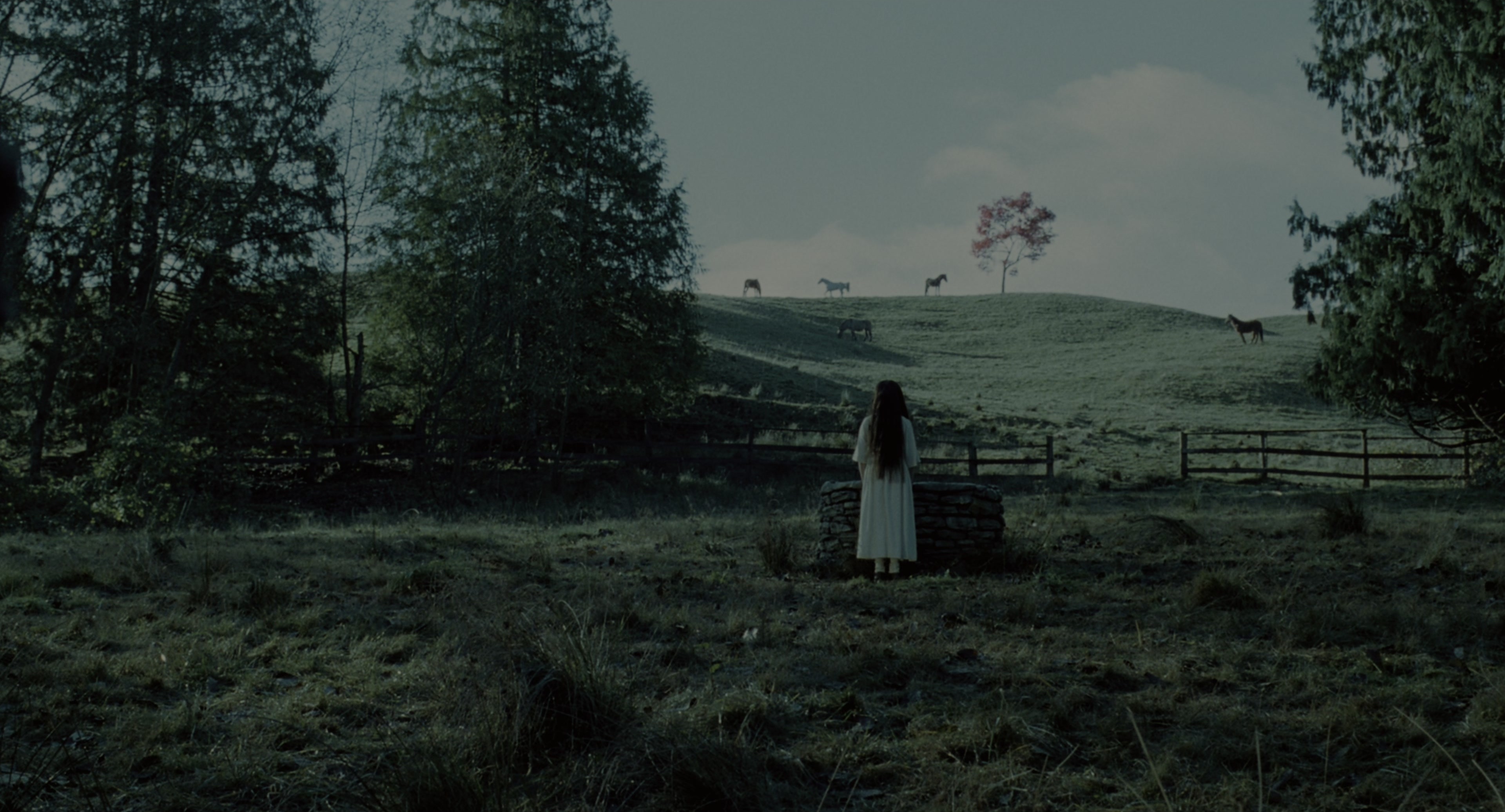 The Ring (2002), wide, 1.85:1 — film still