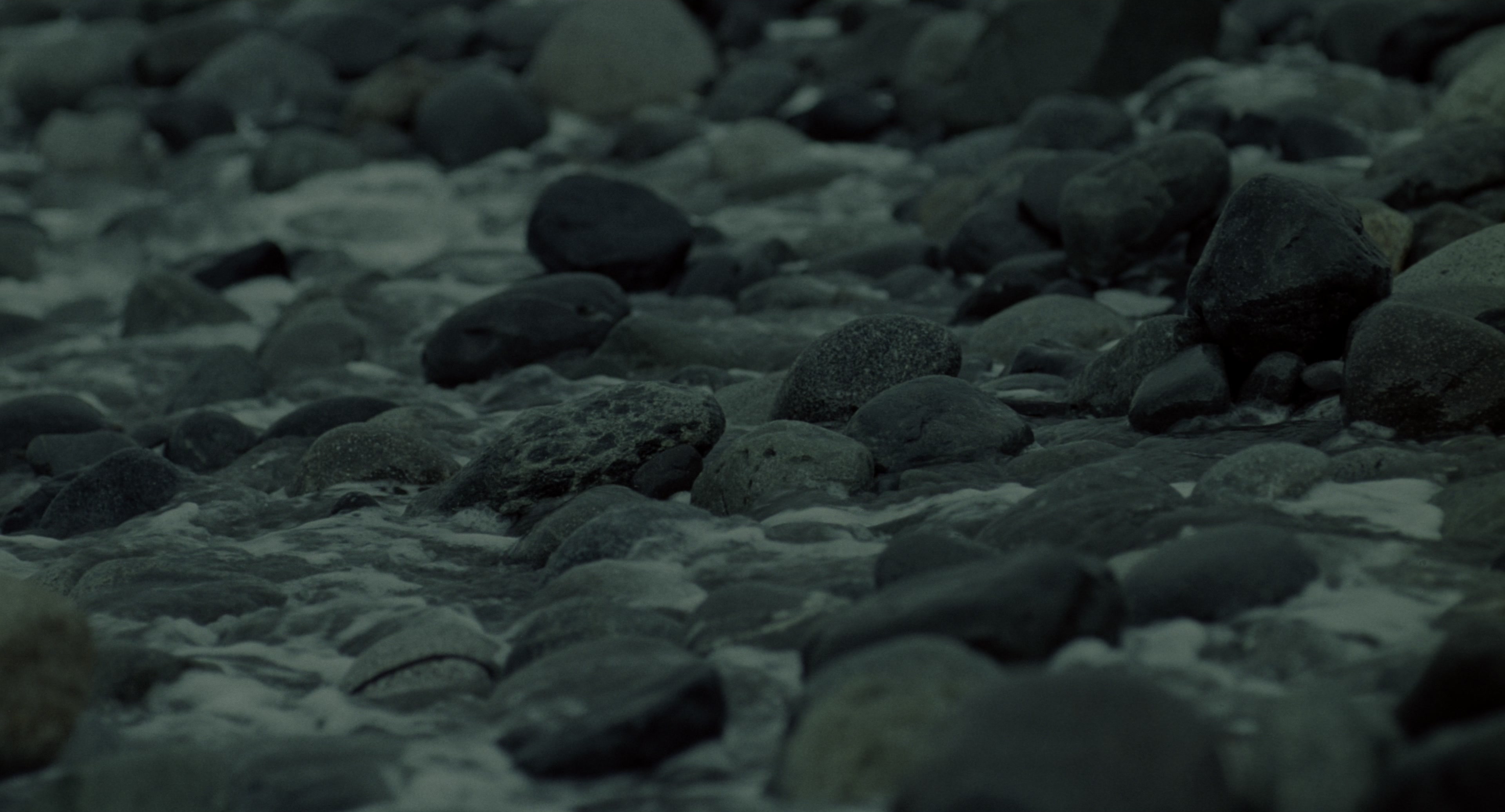 The Ring (2002), wide, 1.85:1 — film still