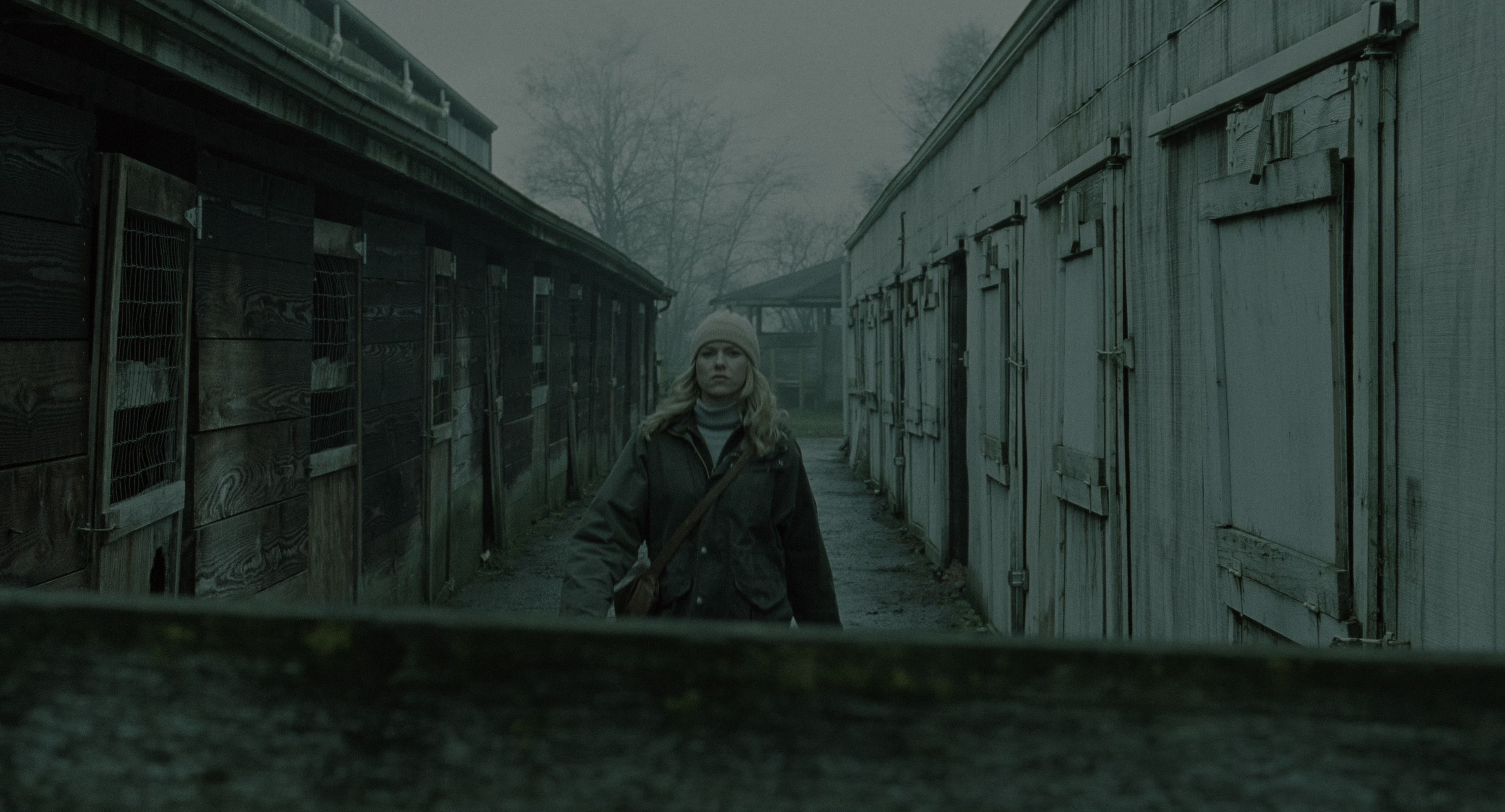 The Ring (2002), wide, 1.85:1 — film still