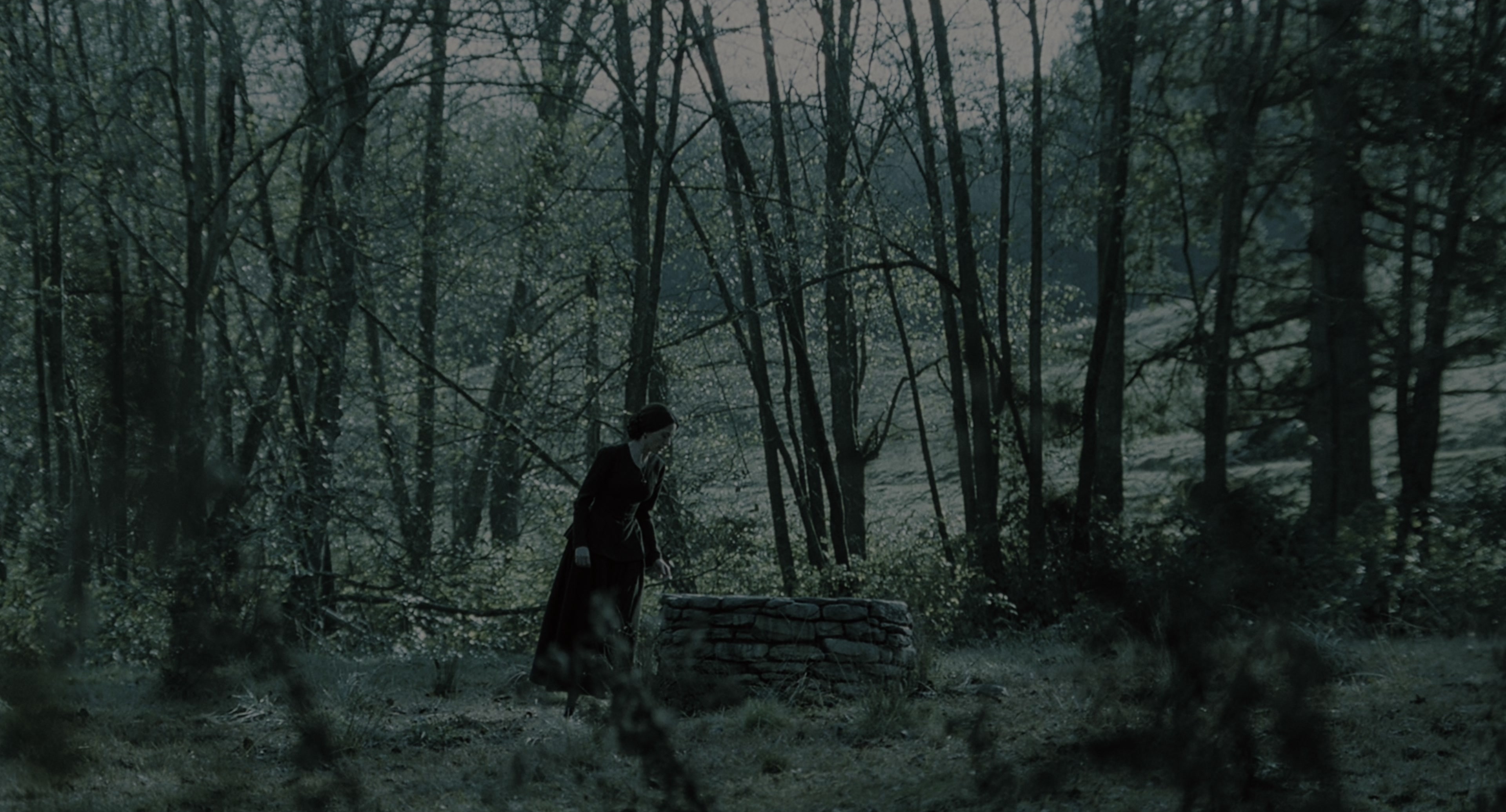 The Ring (2002), wide, 1.85:1 — film still