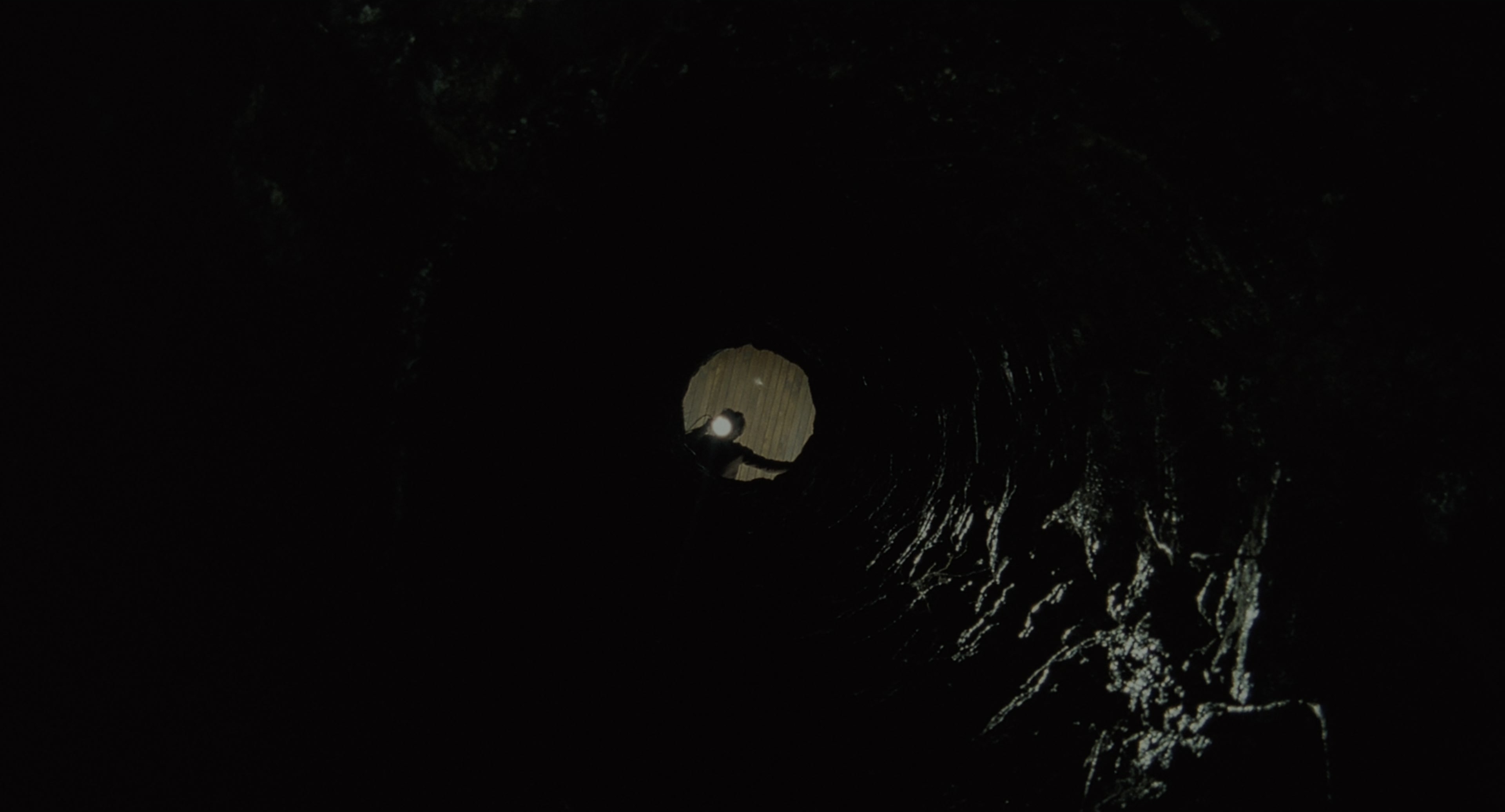 The Ring (2002), wide, 1.85:1 — film still