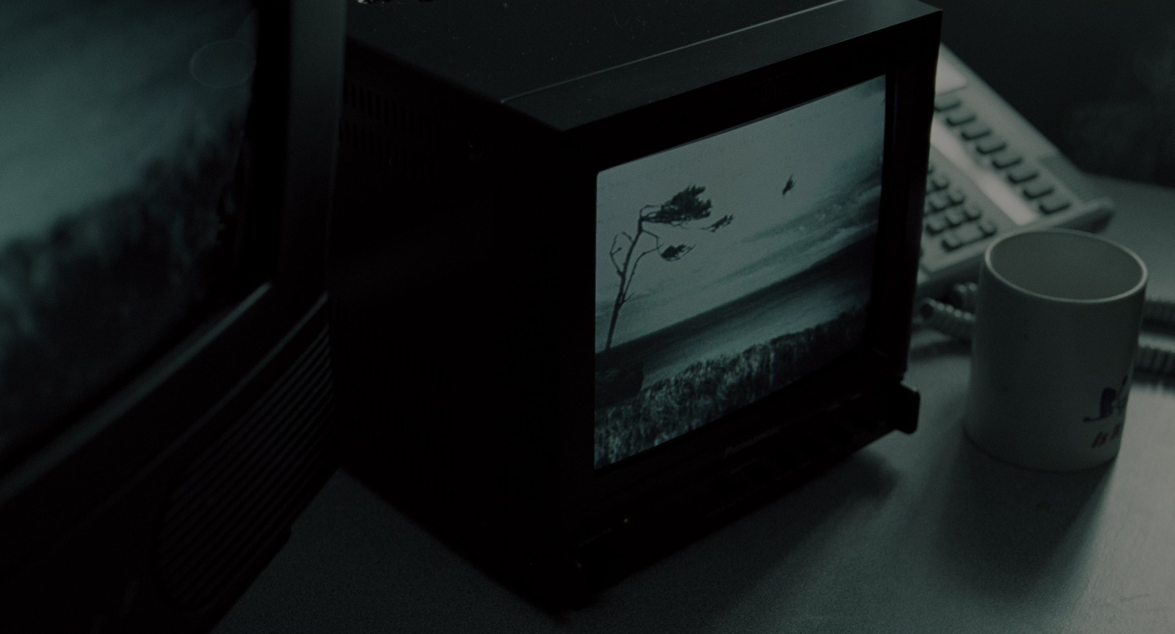 The Ring (2002), wide, 1.85:1 — film still
