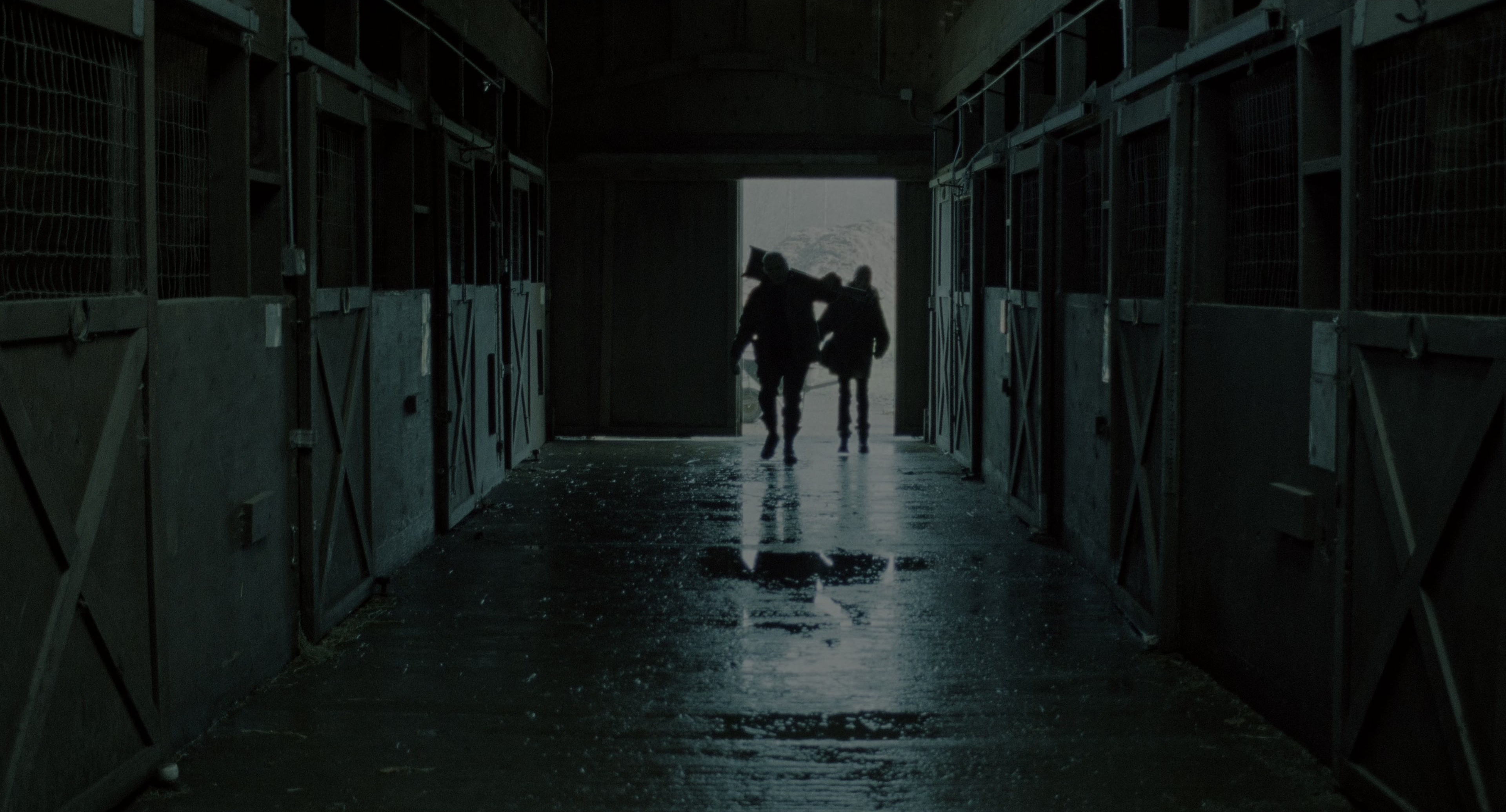 The Ring (2002), wide, 1.85:1 — film still