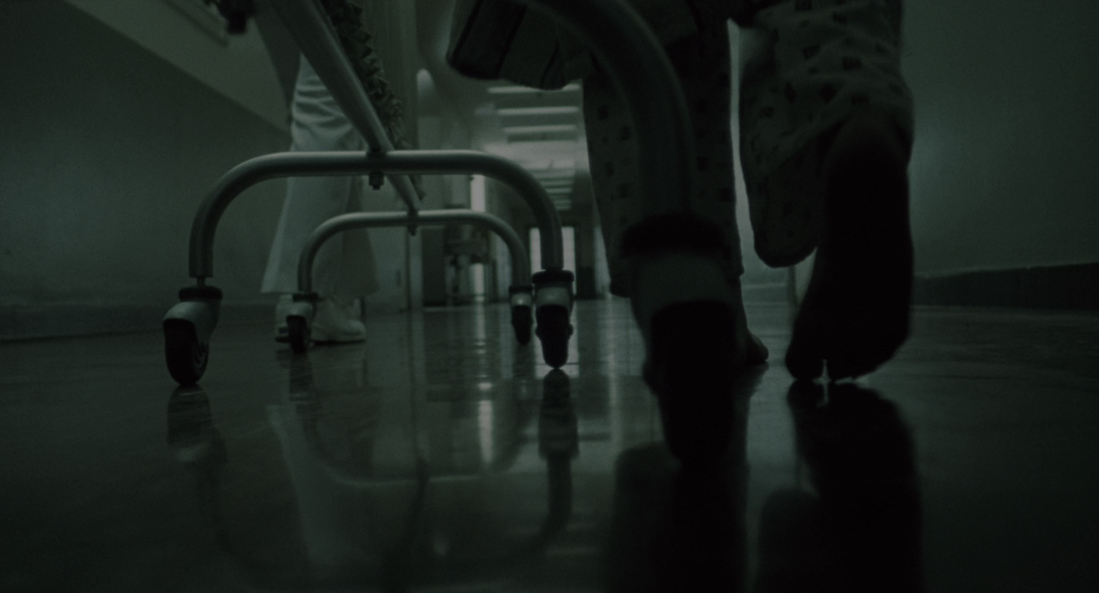 The Ring (2002), wide, 1.85:1 — film still