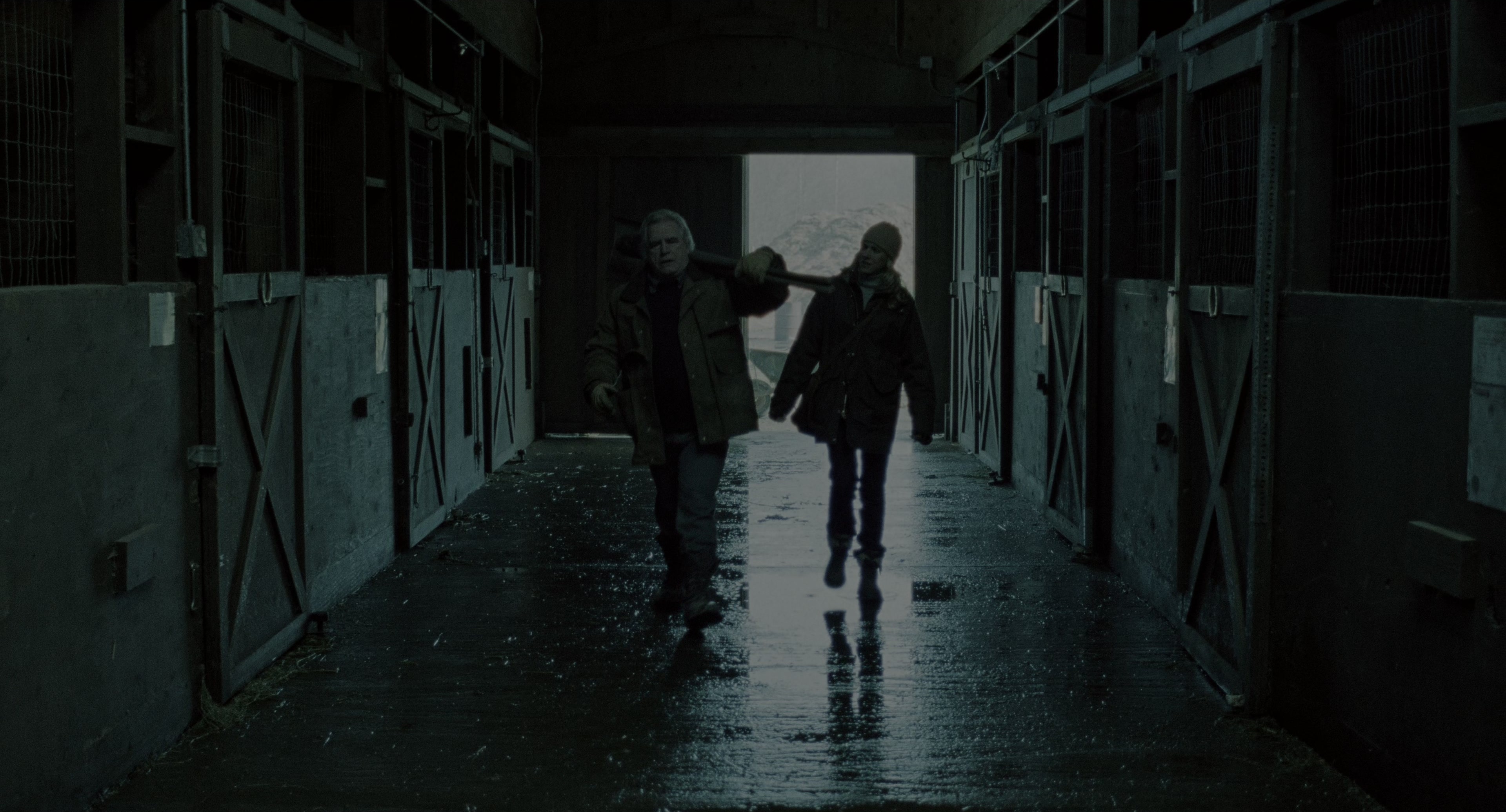 The Ring (2002), wide, 1.85:1 — film still