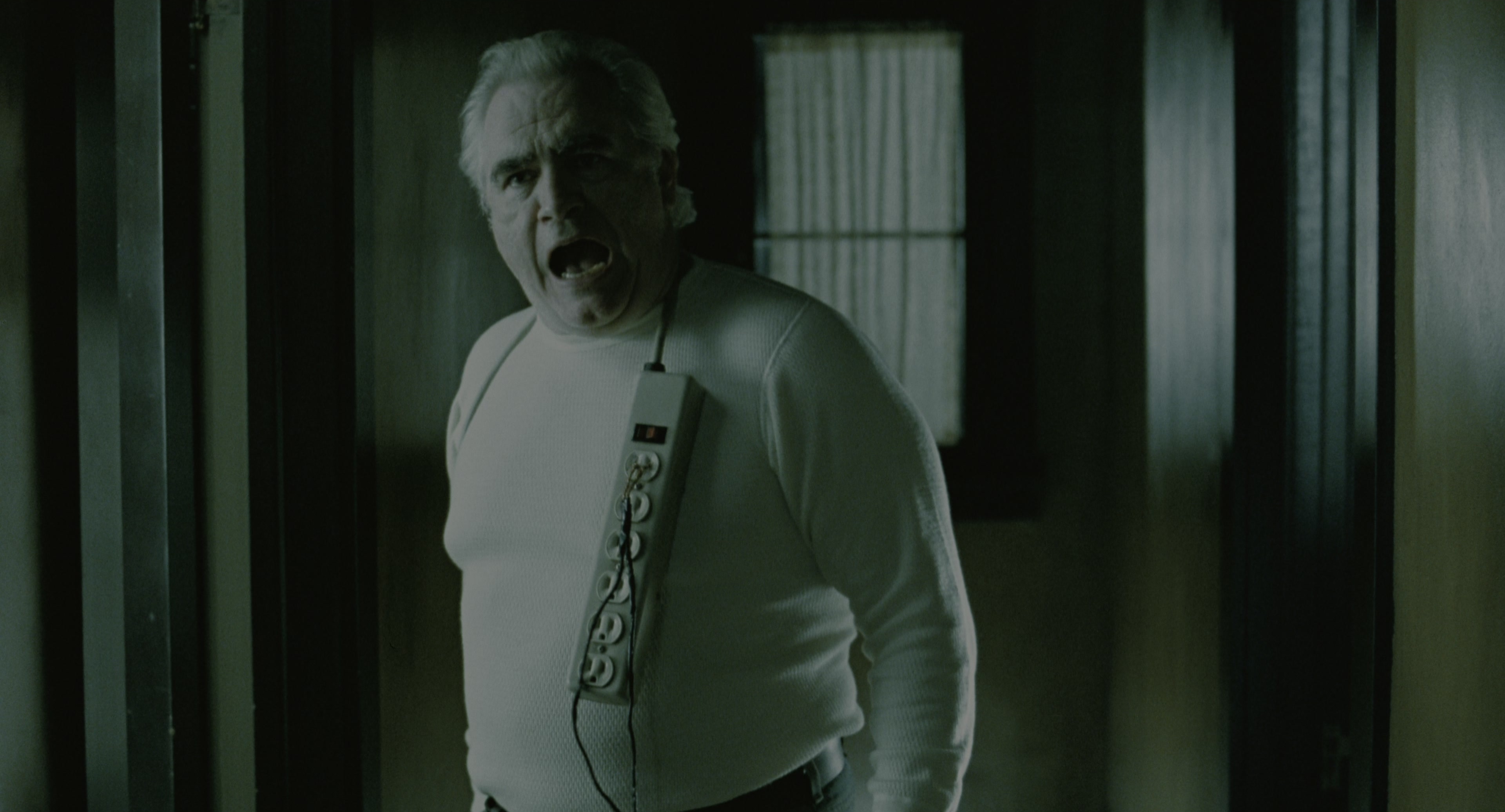 The Ring (2002), wide, 1.85:1 — film still