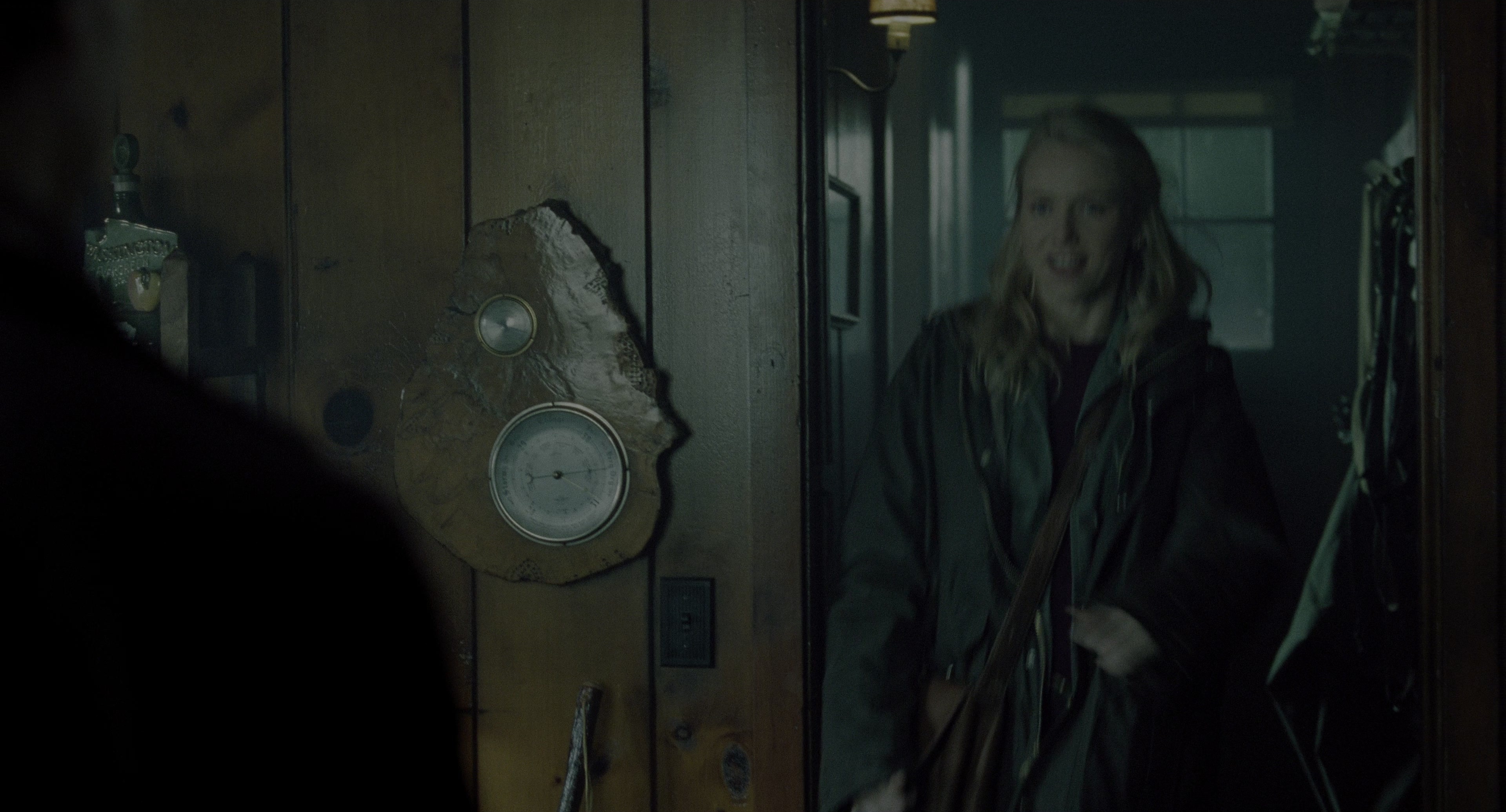 The Ring (2002), wide, 1.85:1 — film still
