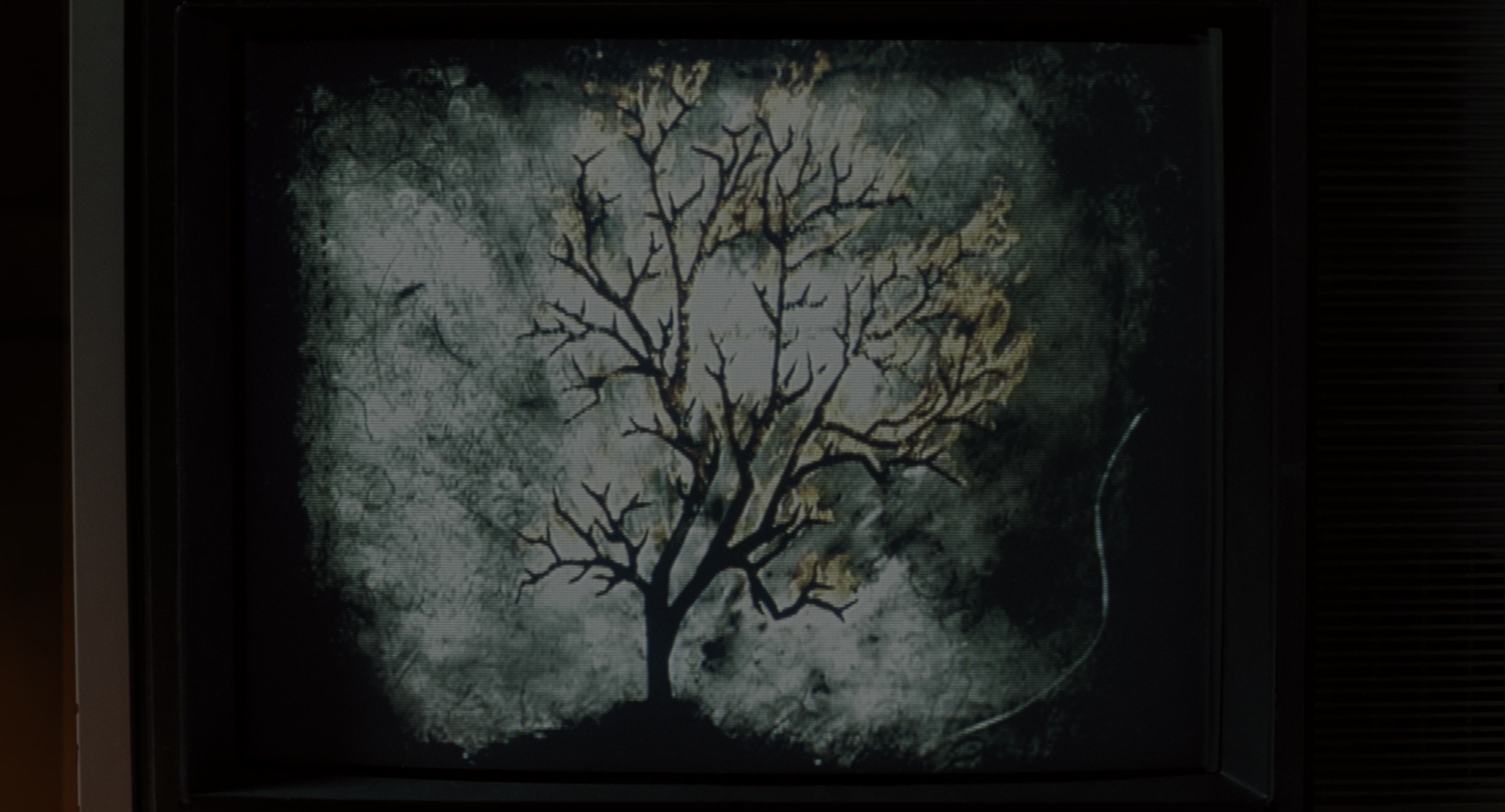The Ring (2002), wide, 1.85:1 — film still