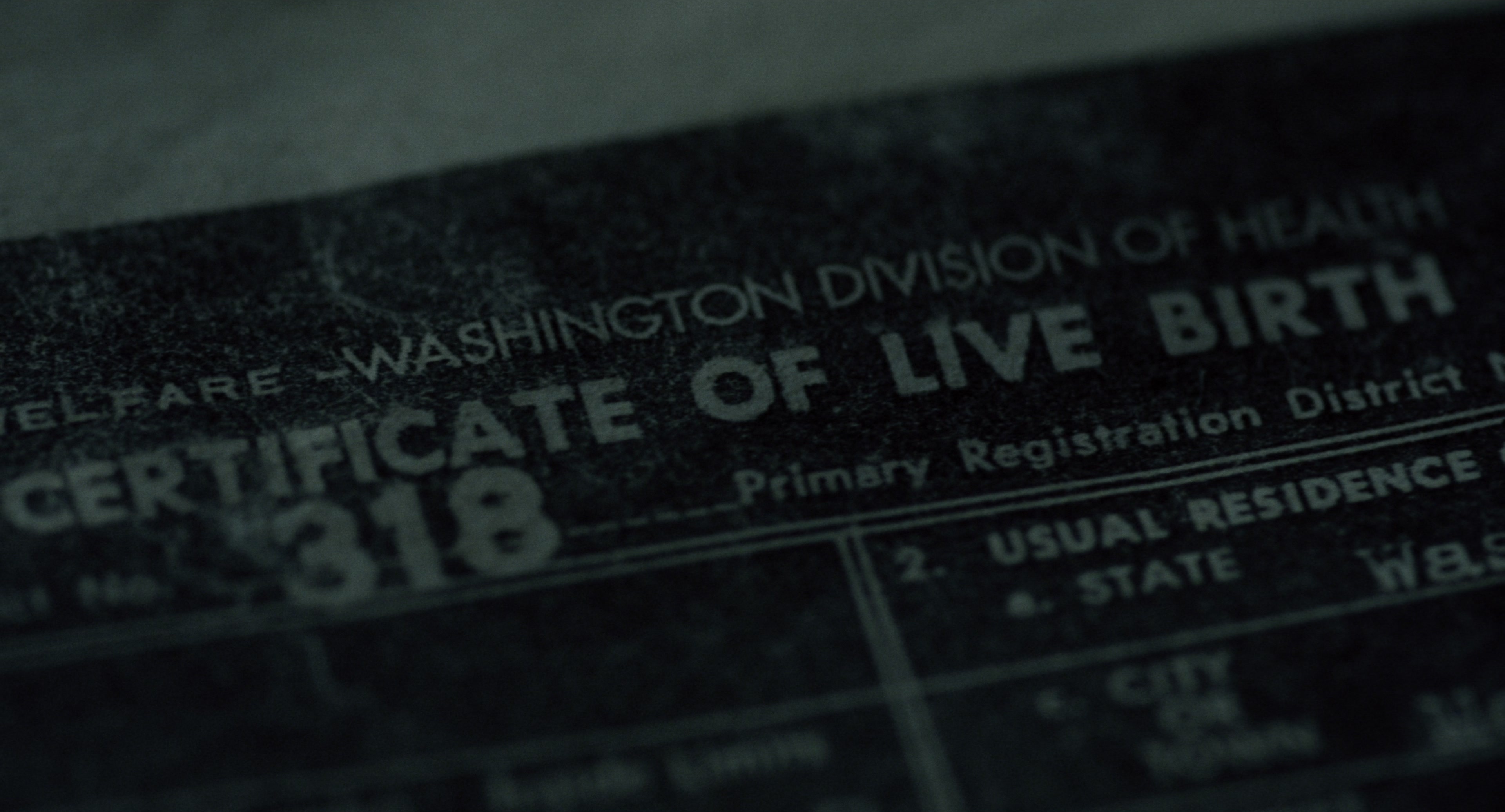 The Ring (2002), wide, 1.85:1 — film still