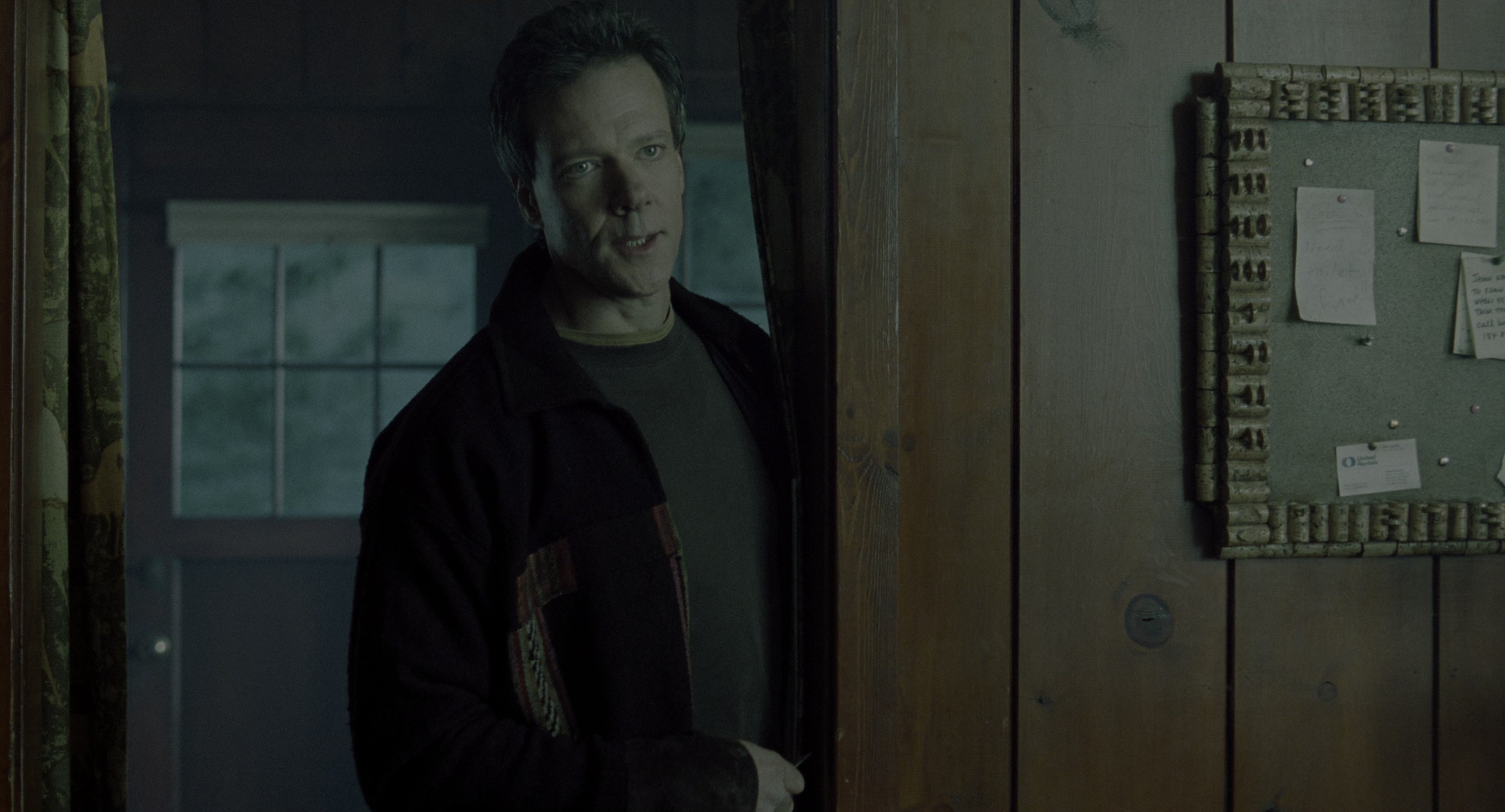 The Ring (2002), wide, 1.85:1 — film still