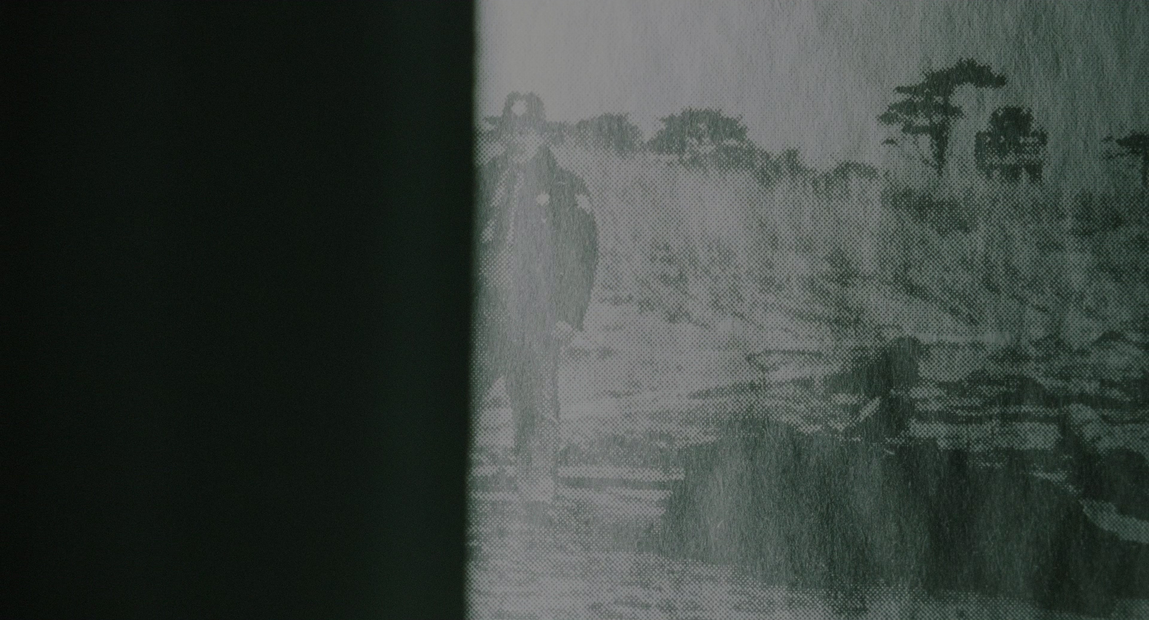 The Ring (2002), wide, 1.85:1 — film still