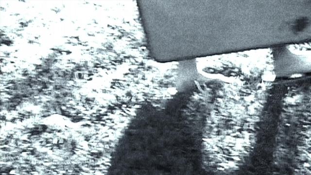seria-3187768.jpg