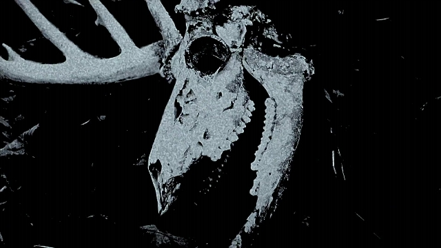 Wide shot frame from The Ring Two — skull