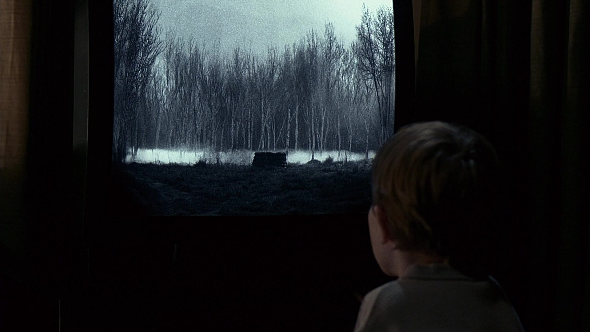 The Ring Two (2005), wide, 1.78:1 — film still