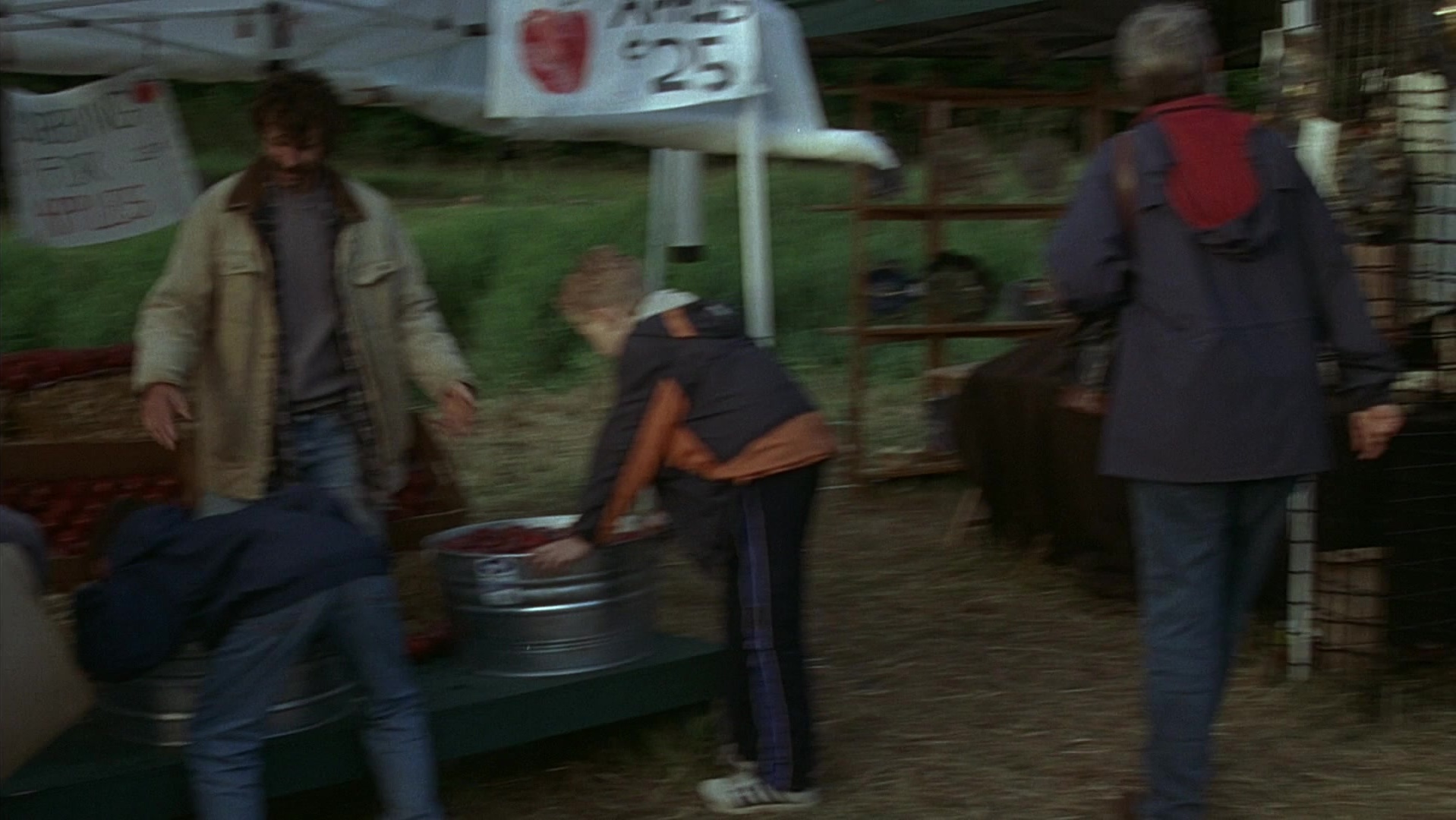 The Ring Two (2005), wide, 1.78:1 — film still