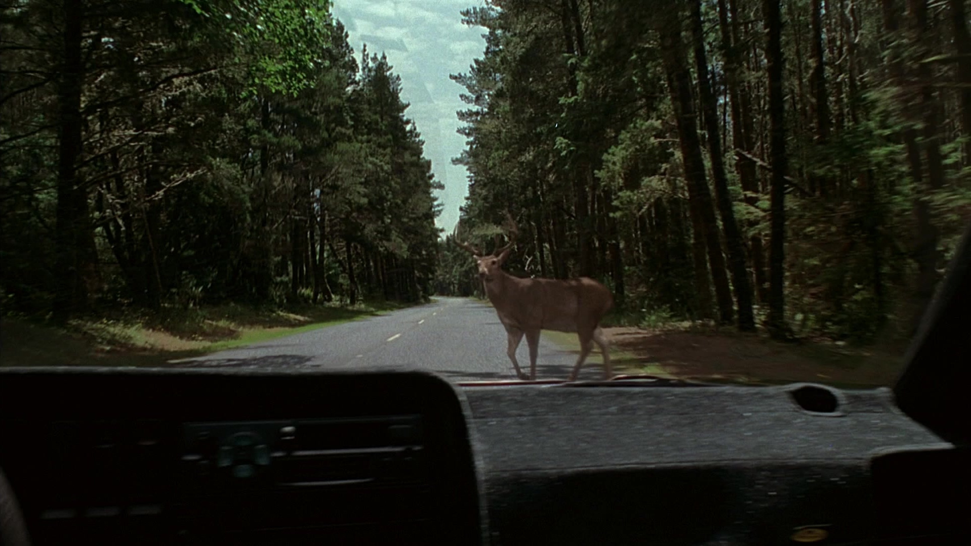 The Ring Two (2005), wide, 1.78:1 — film still