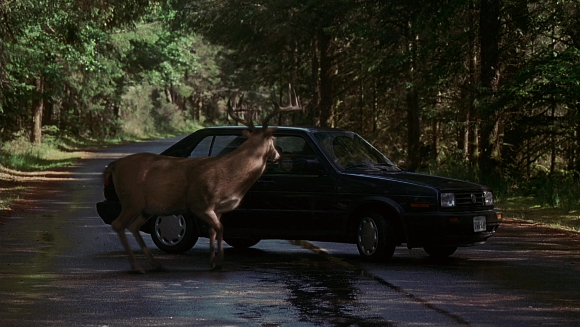 The Ring Two (2005), wide, 1.78:1 — film still