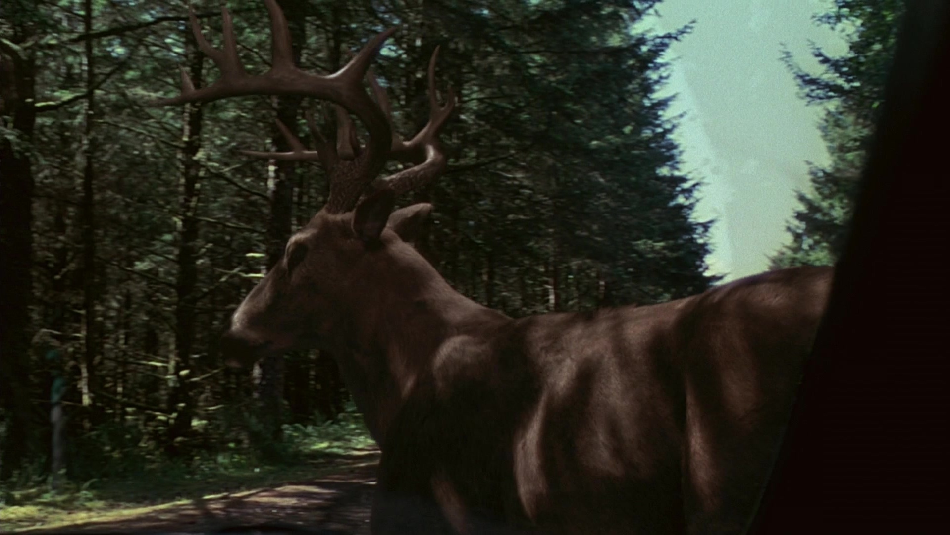 The Ring Two (2005), wide, 1.78:1 — film still