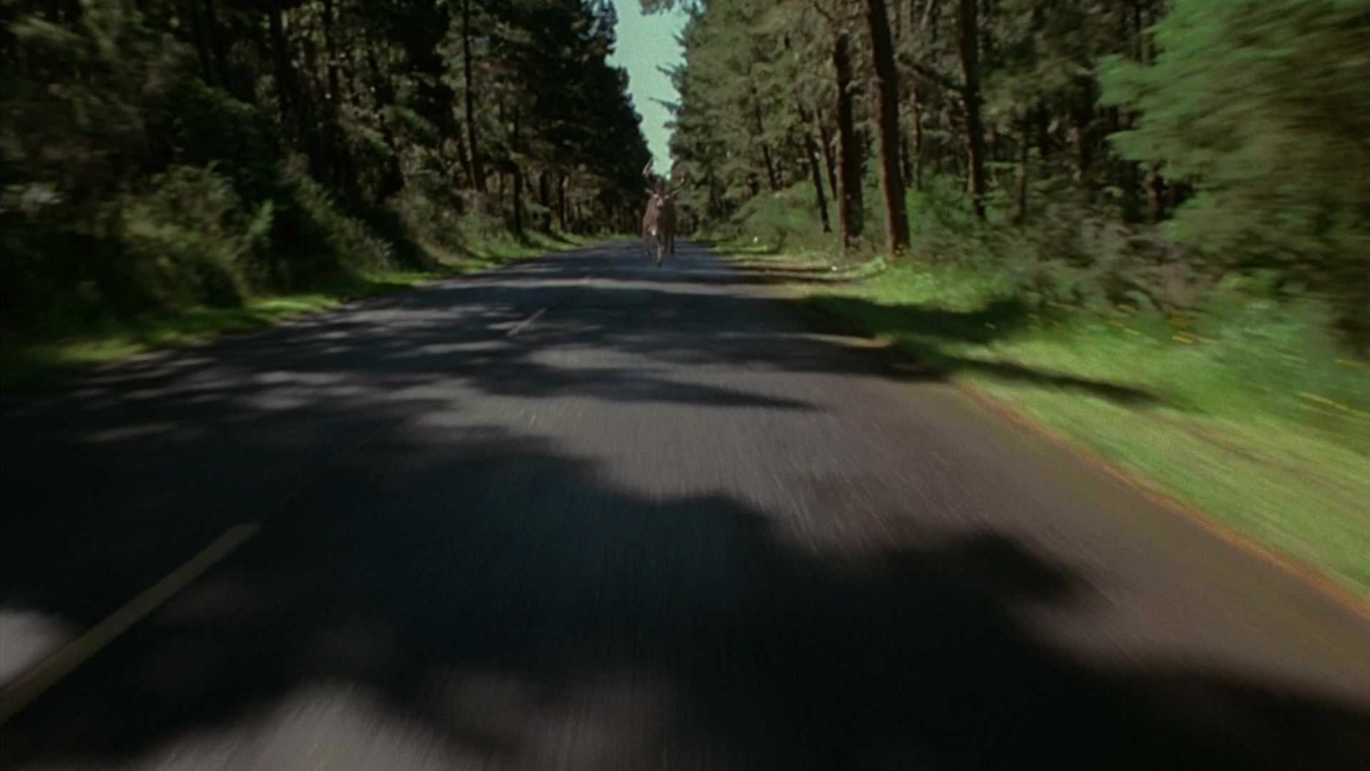 The Ring Two (2005), wide, 1.78:1 — film still